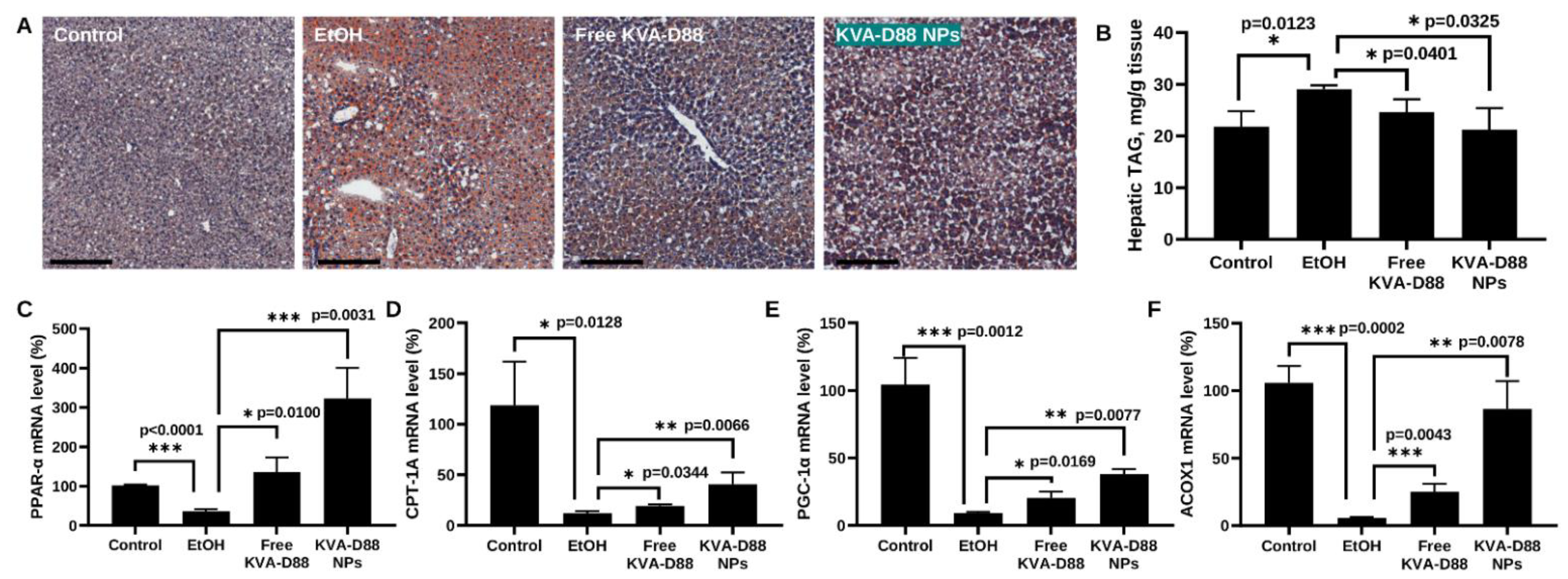 Pharmaceutics 14 01894 g007 550