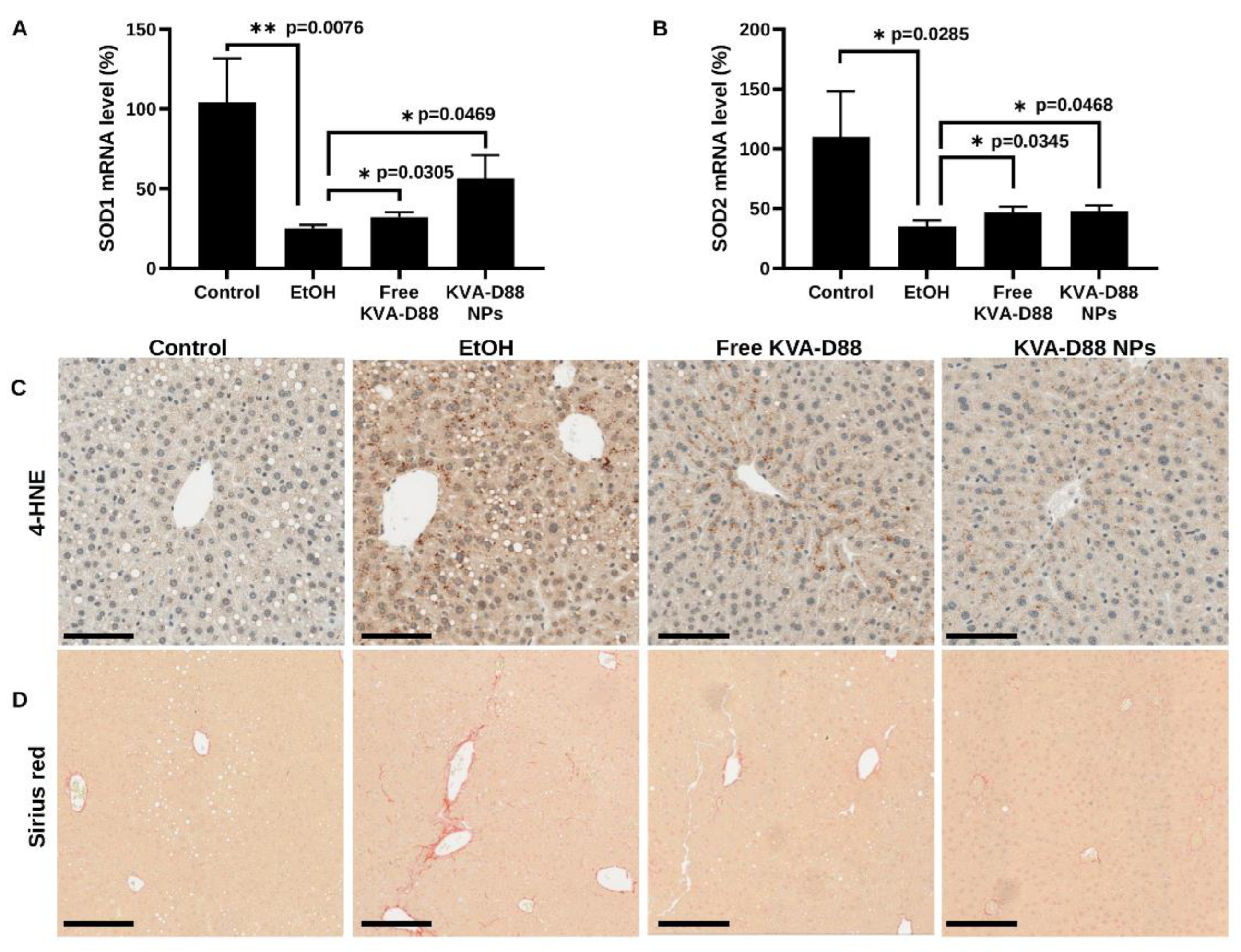 Pharmaceutics 14 01894 g008 550