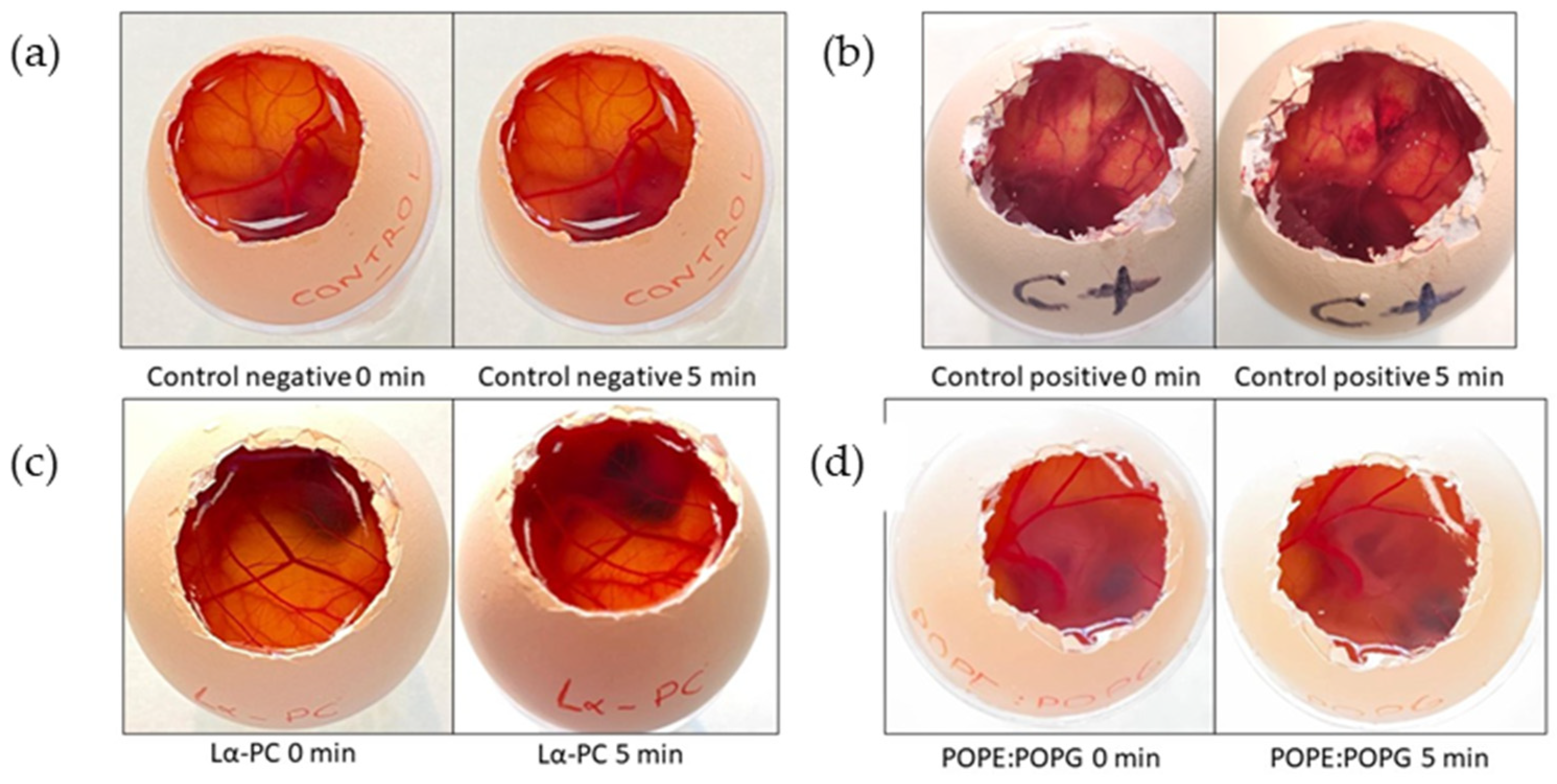 Pharmaceutics 14 01895 g010 550