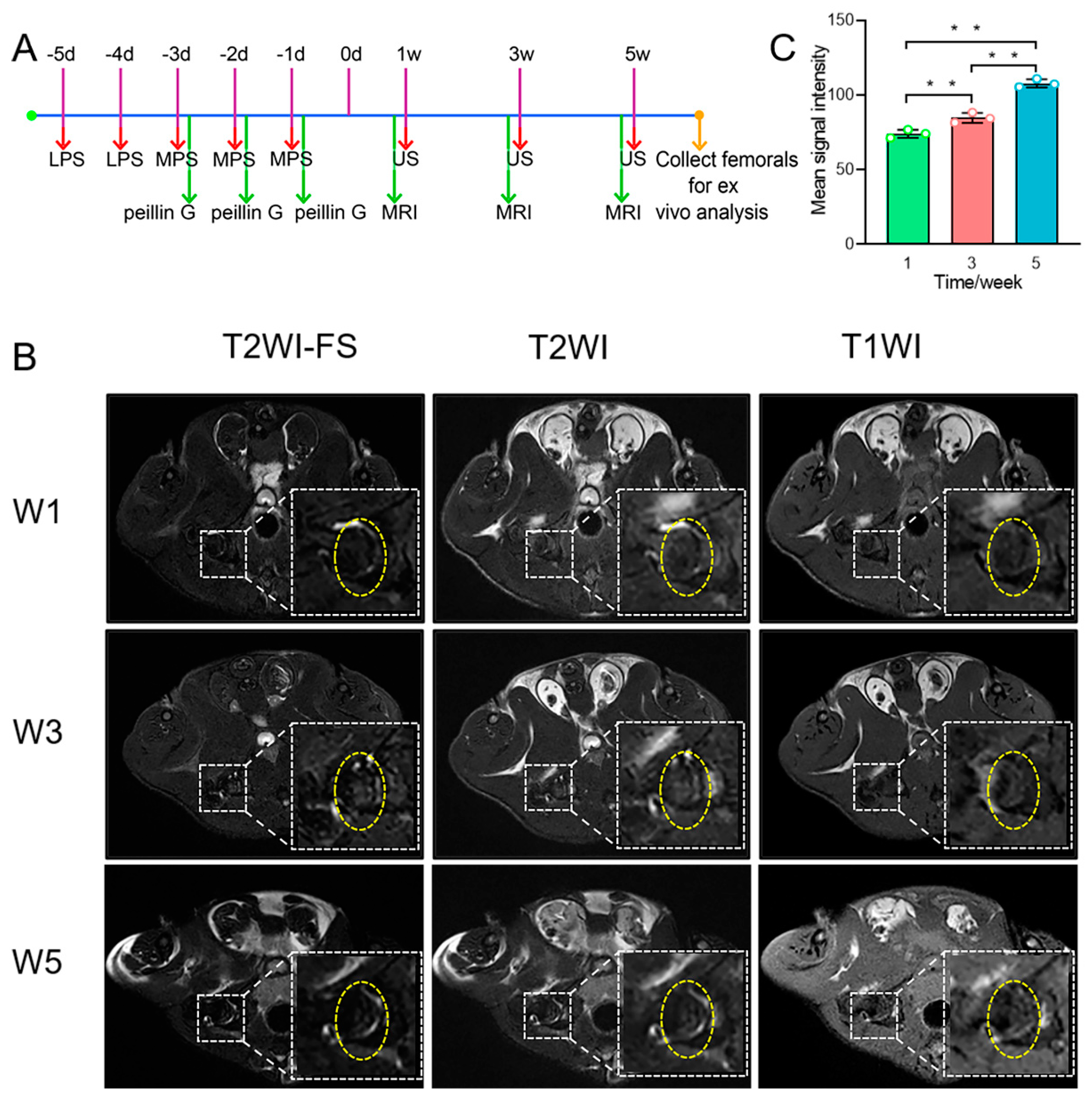 Pharmaceutics 14 01898 g004
