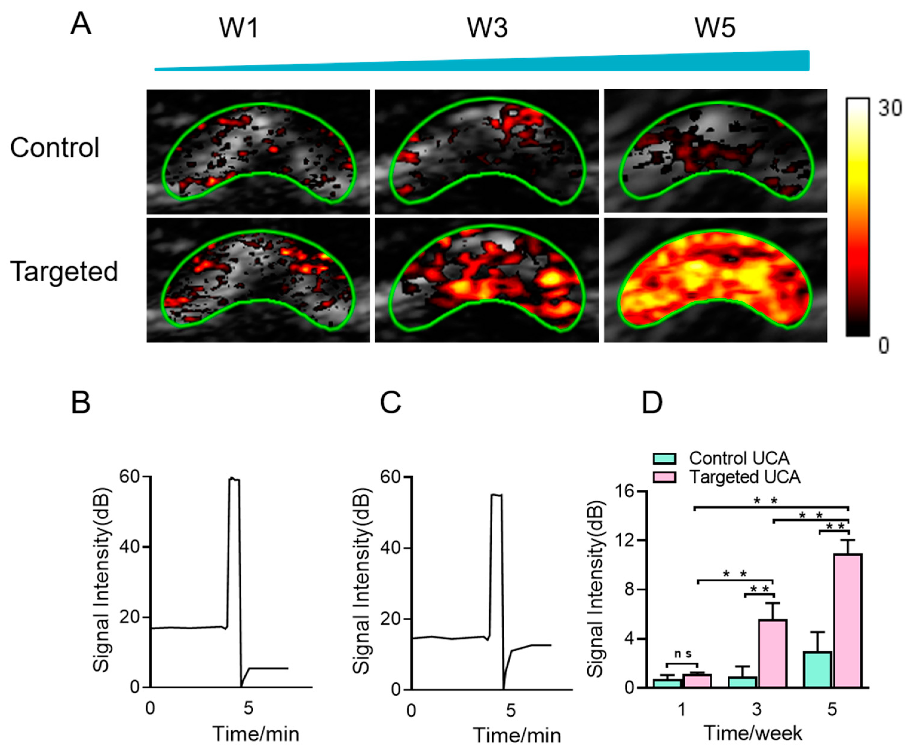 Pharmaceutics 14 01898 g005