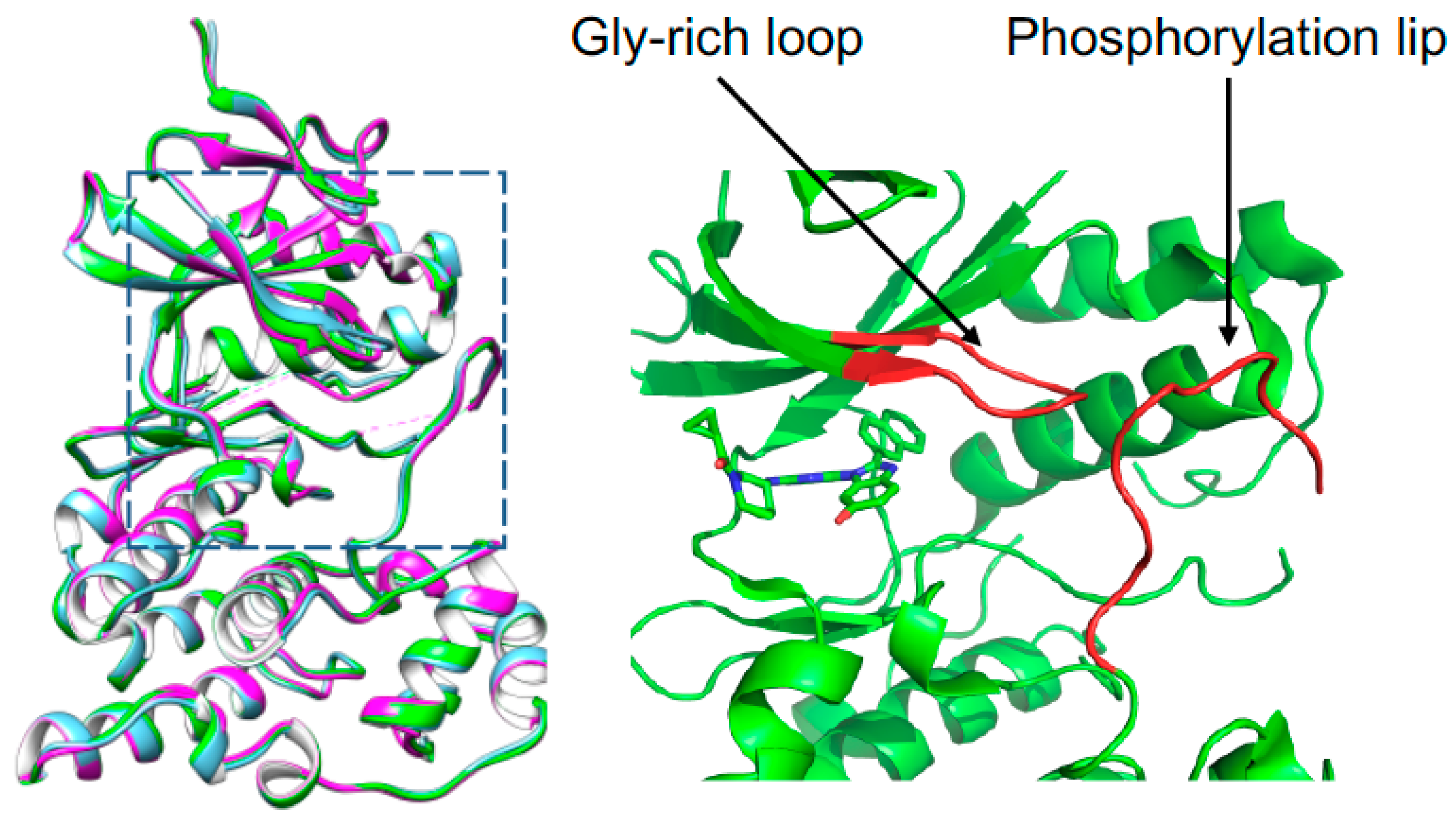 Pharmaceutics 14 01900 g003 550