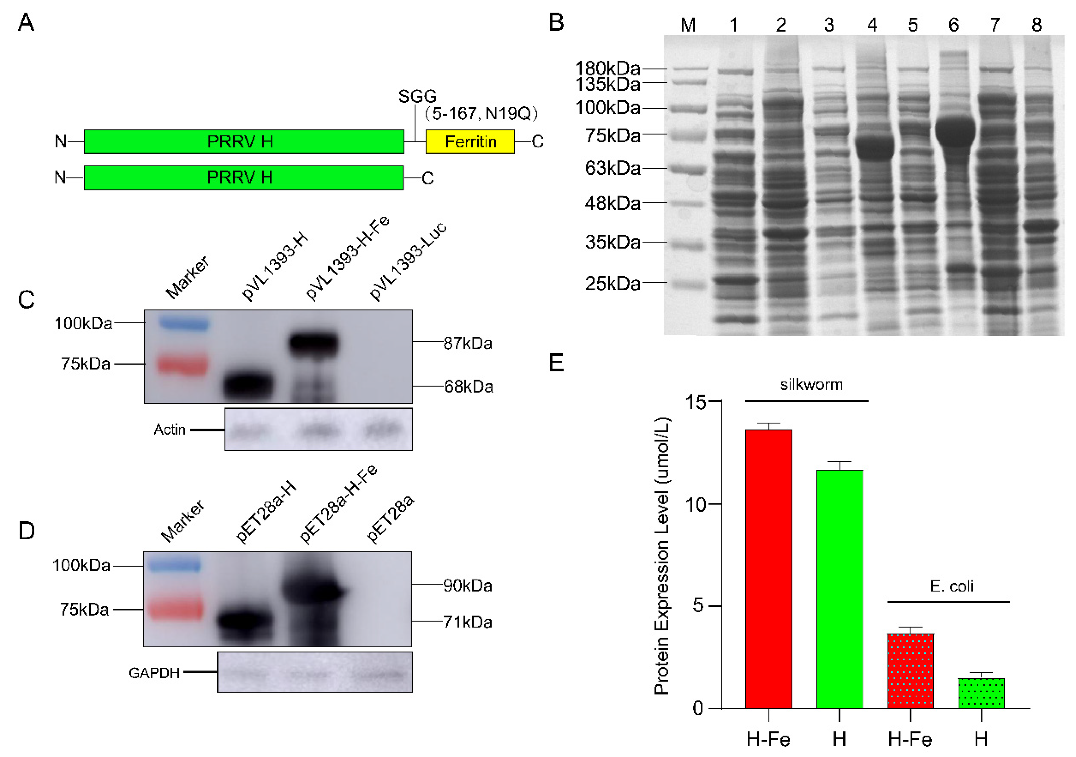 Pharmaceutics 14 01902 g001 550