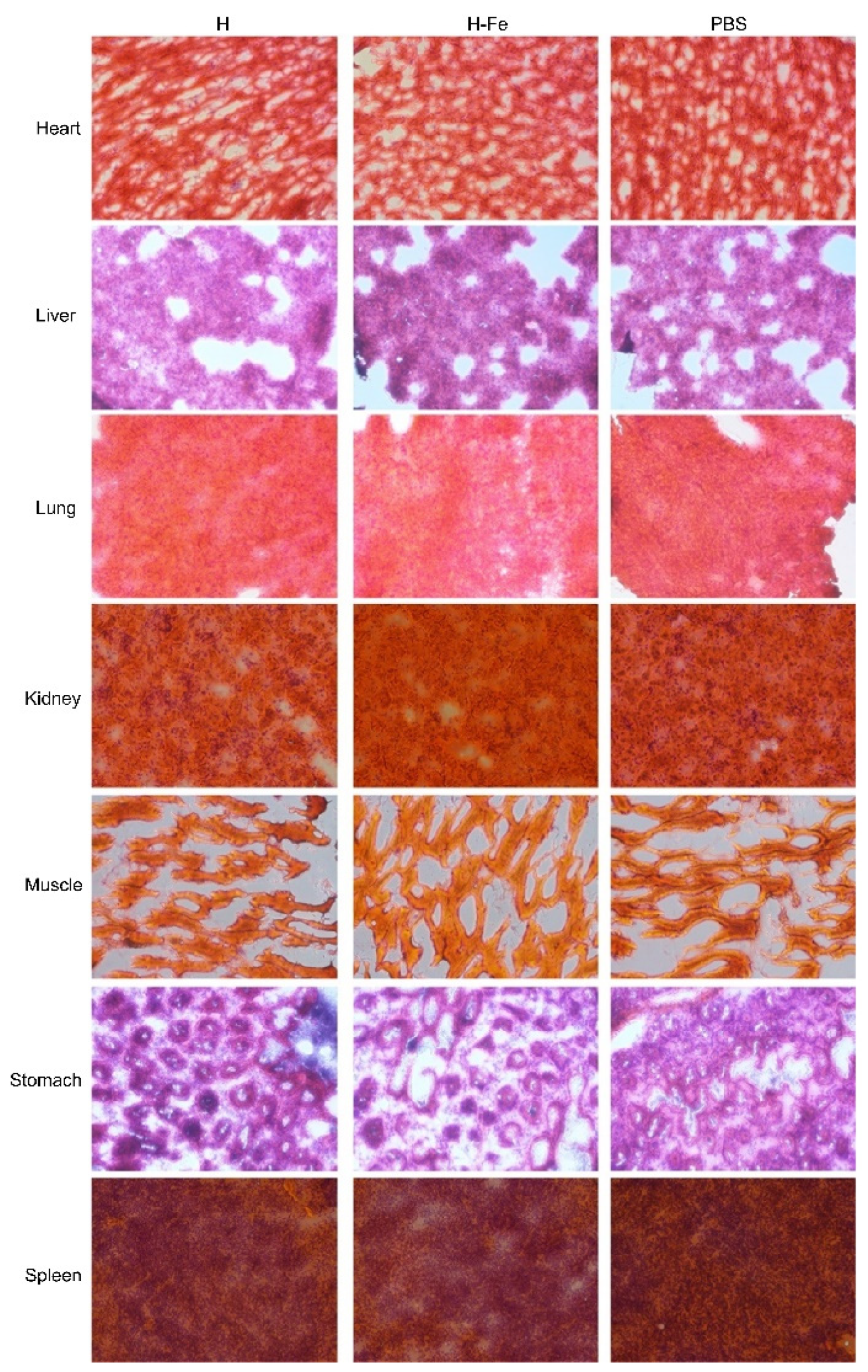 Pharmaceutics 14 01902 g004 550