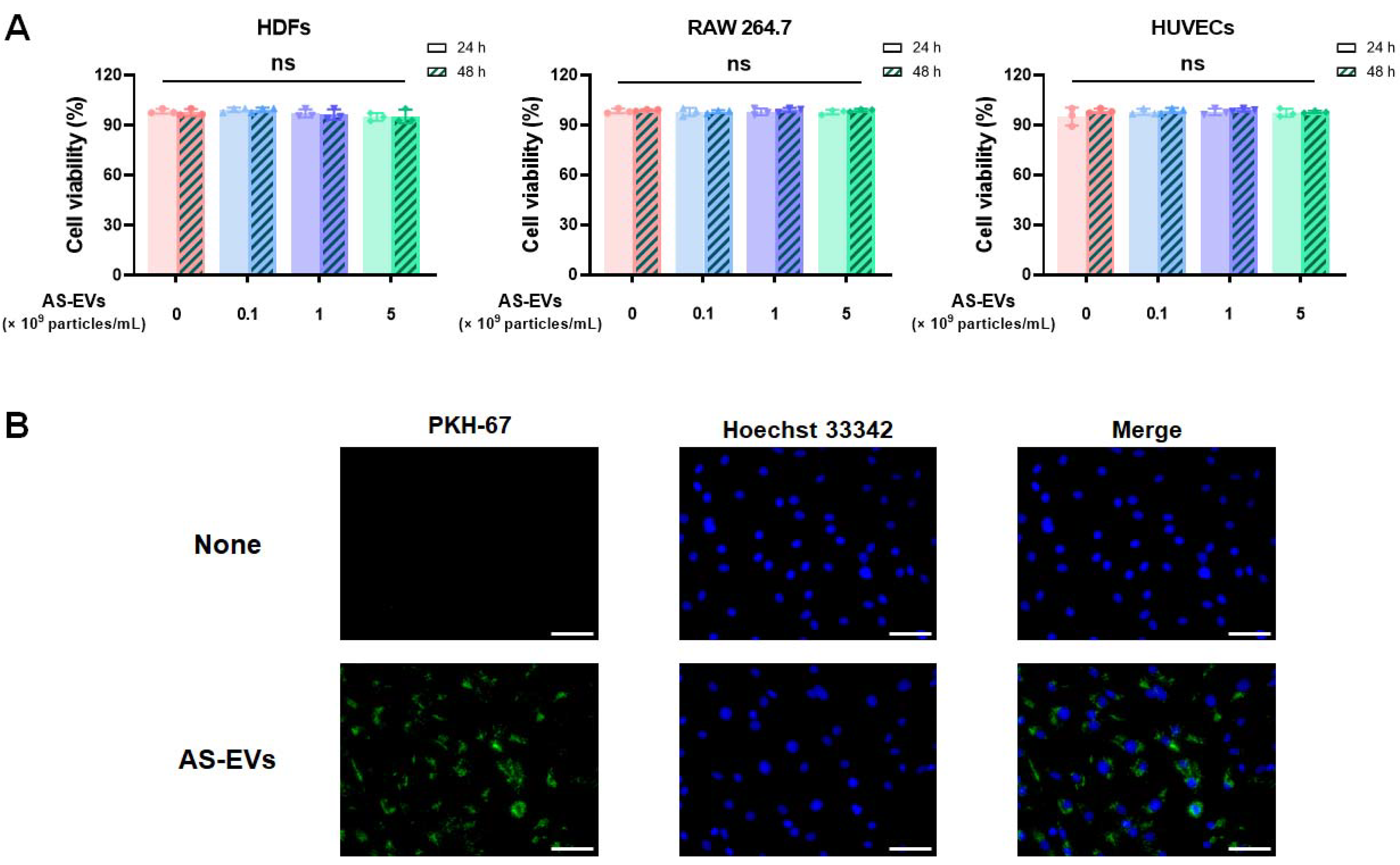 Pharmaceutics 14 01905 g002