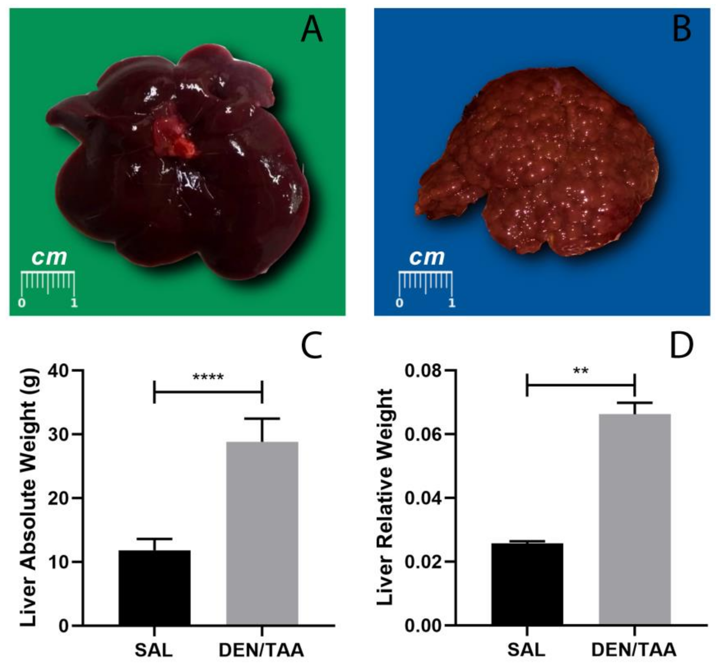 Pharmaceutics 14 01907 g002 550