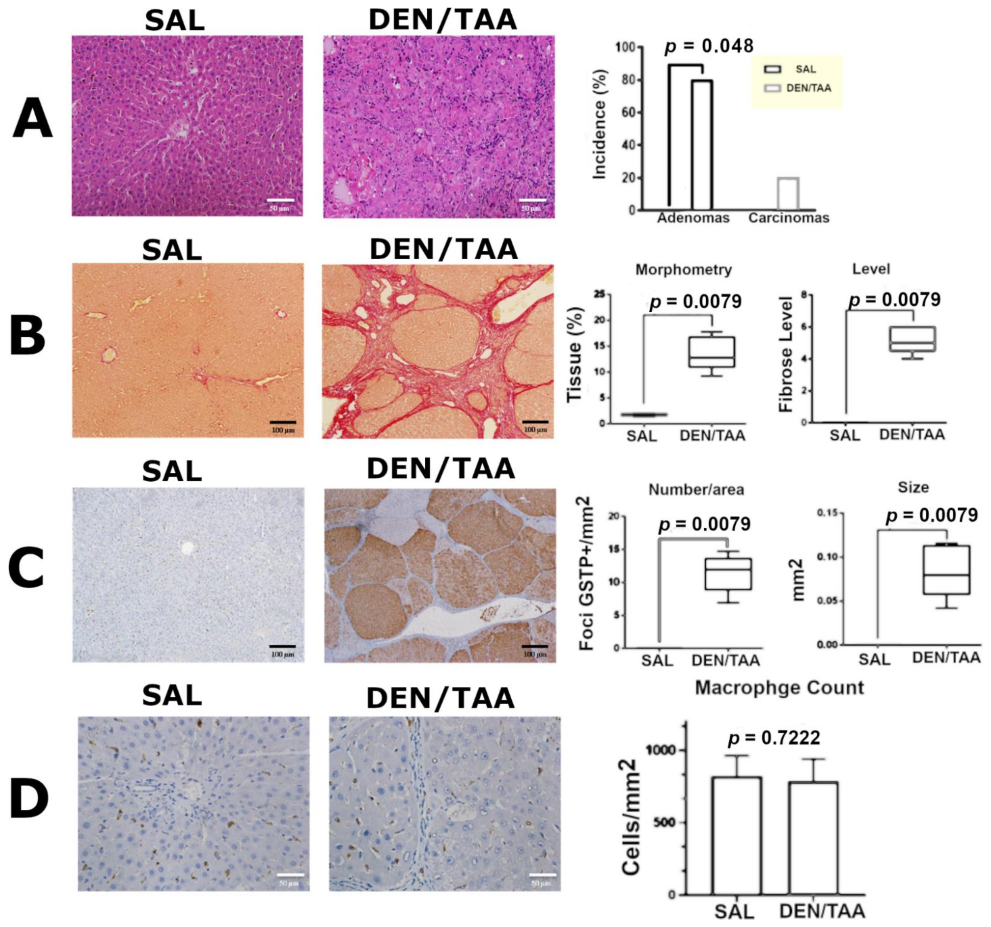 Pharmaceutics 14 01907 g003 550