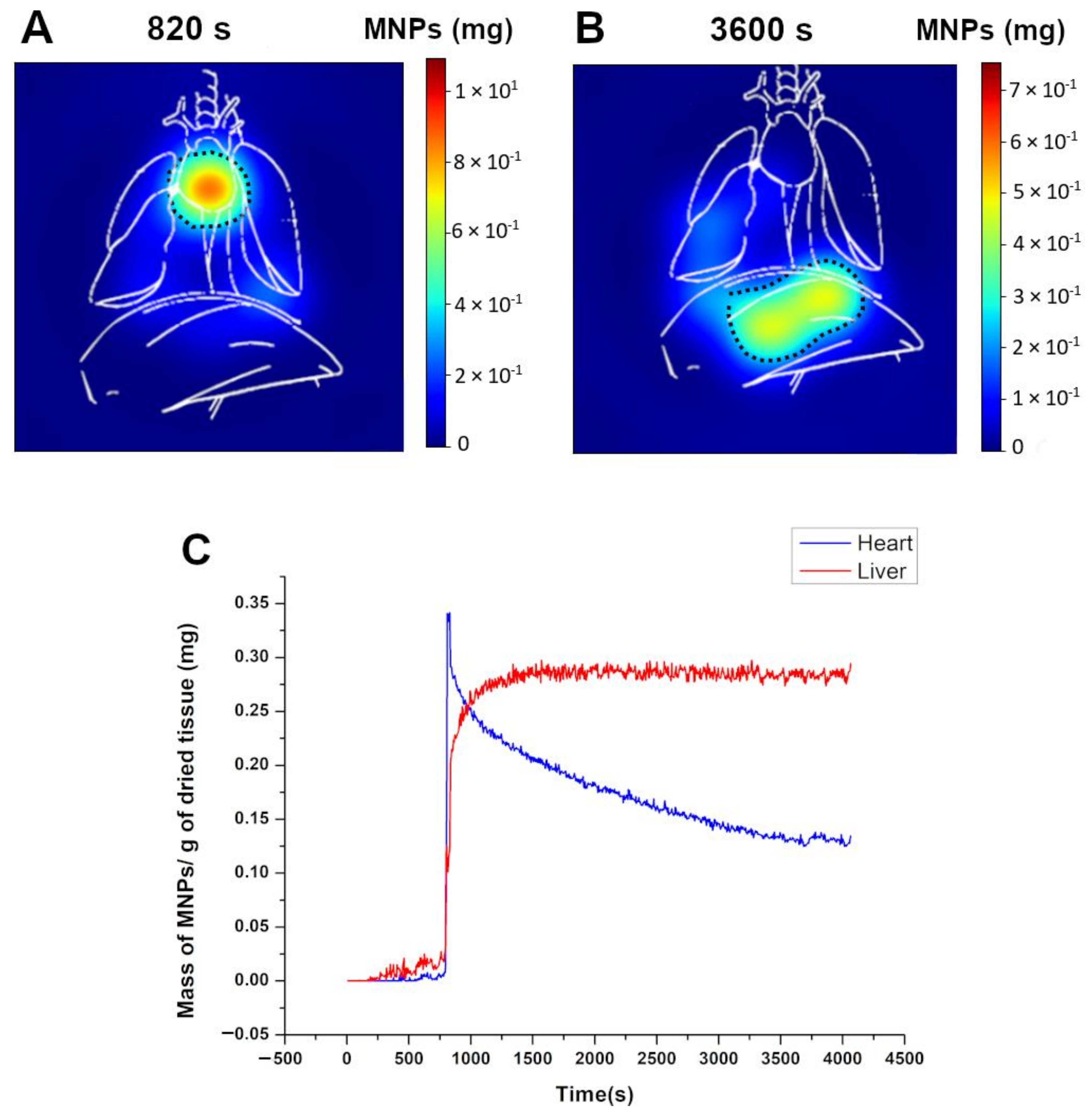 Pharmaceutics 14 01907 g004 550