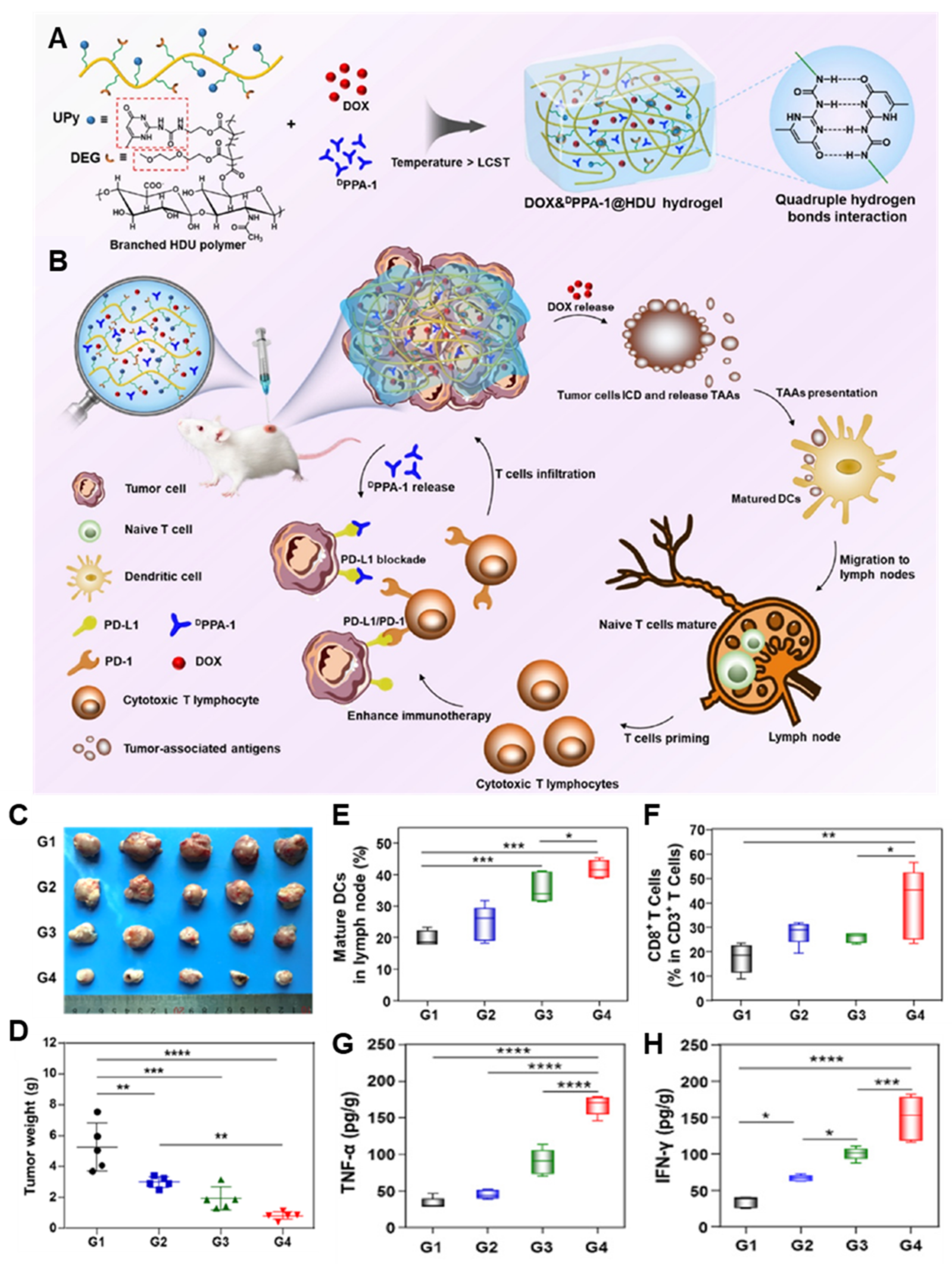 Pharmaceutics 14 01908 g001 550