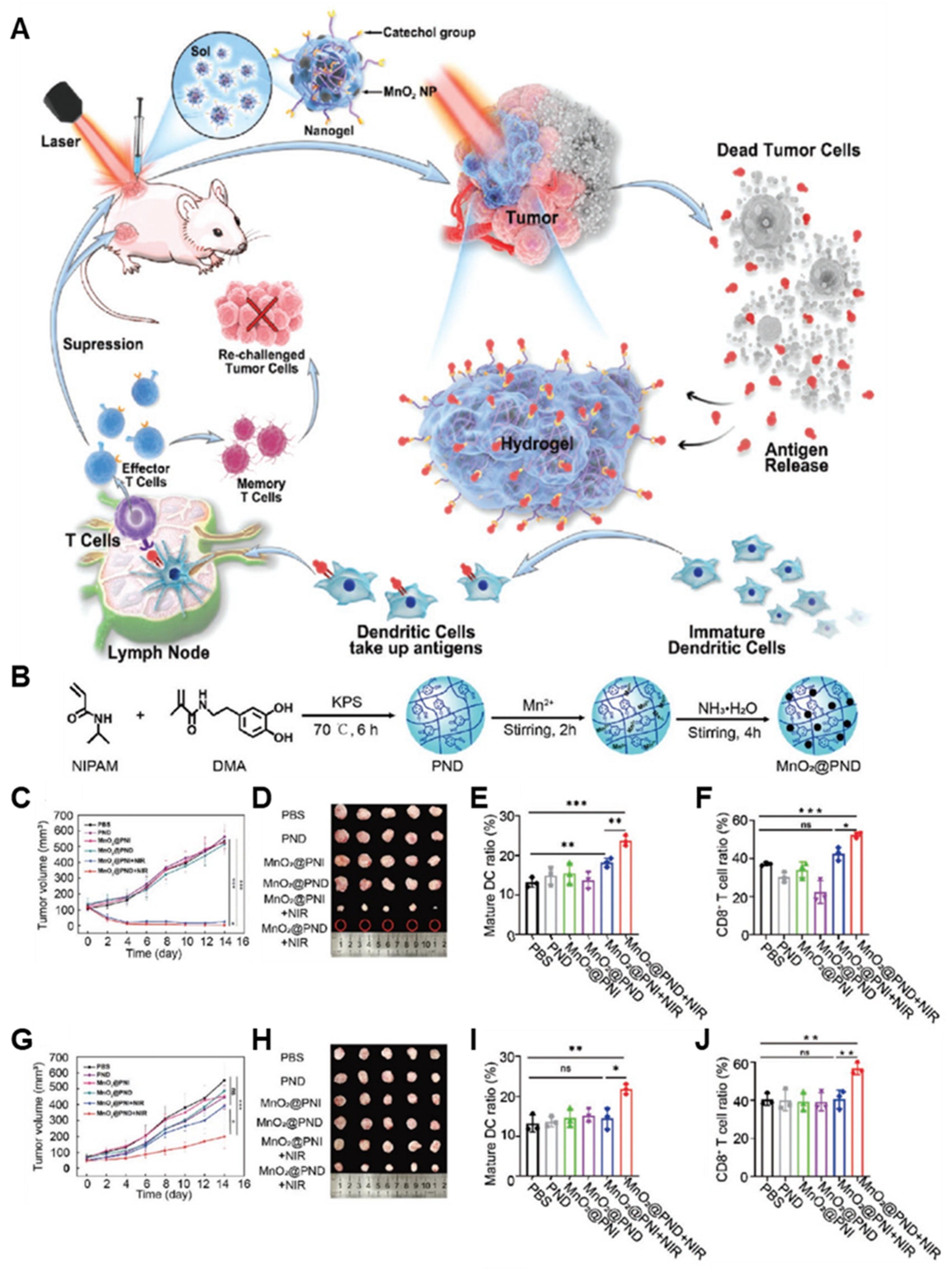 Pharmaceutics 14 01908 g004 550