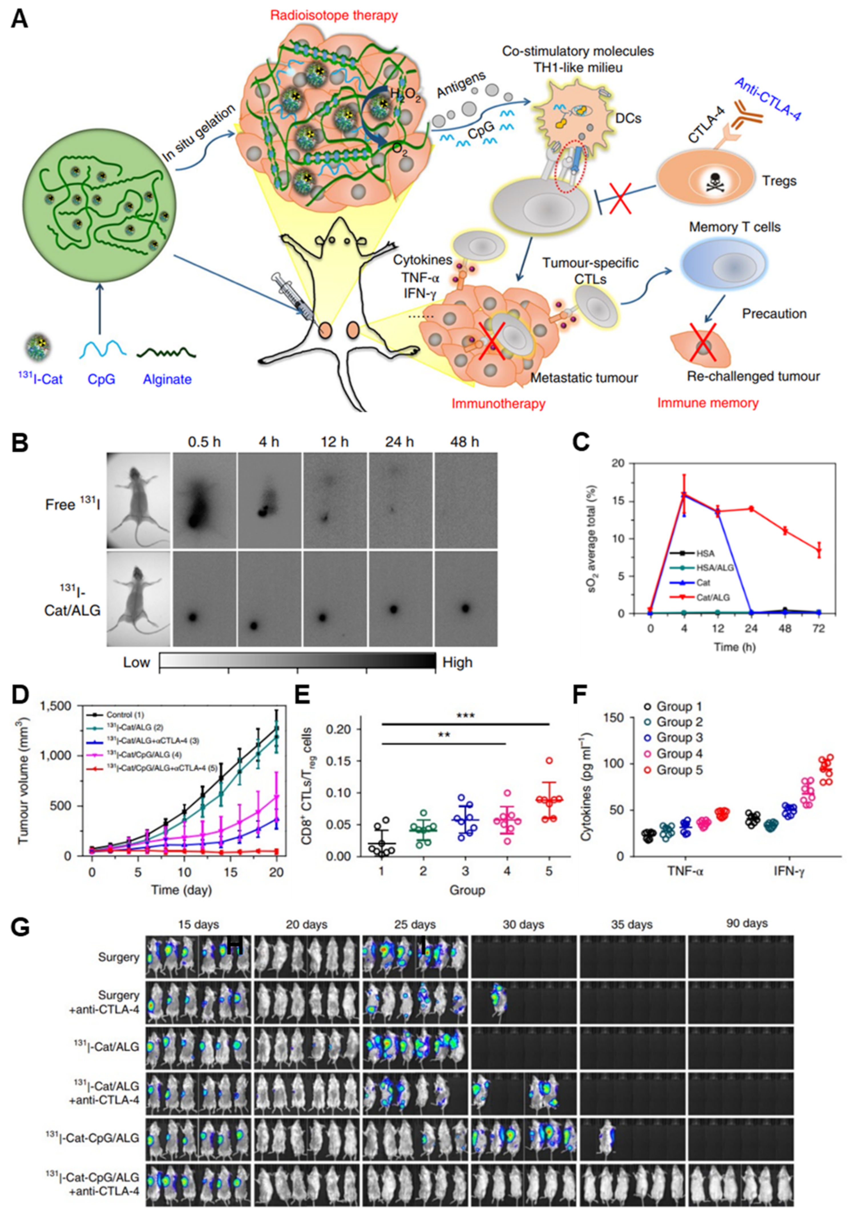 Pharmaceutics 14 01908 g005 550