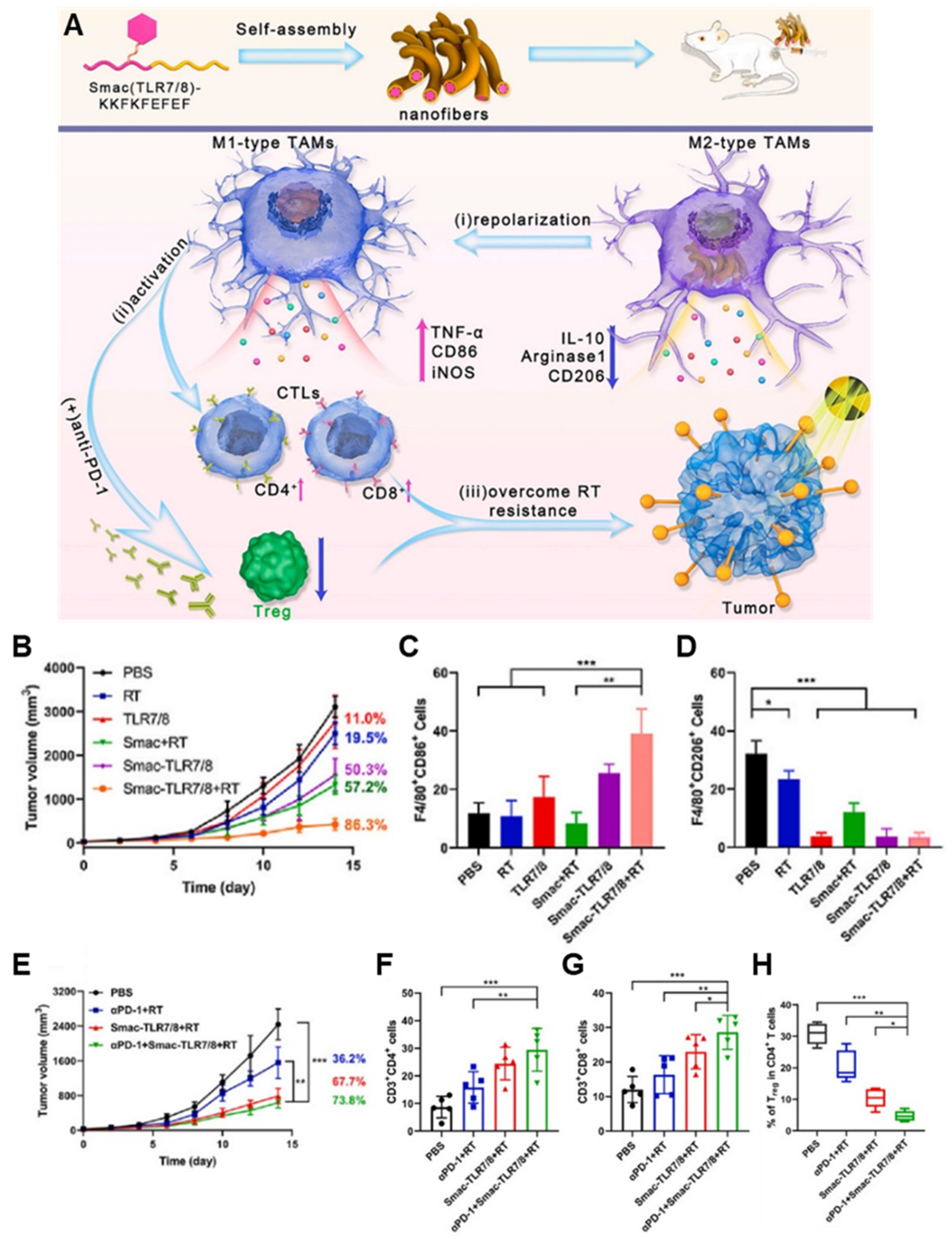 Pharmaceutics 14 01908 g006 550