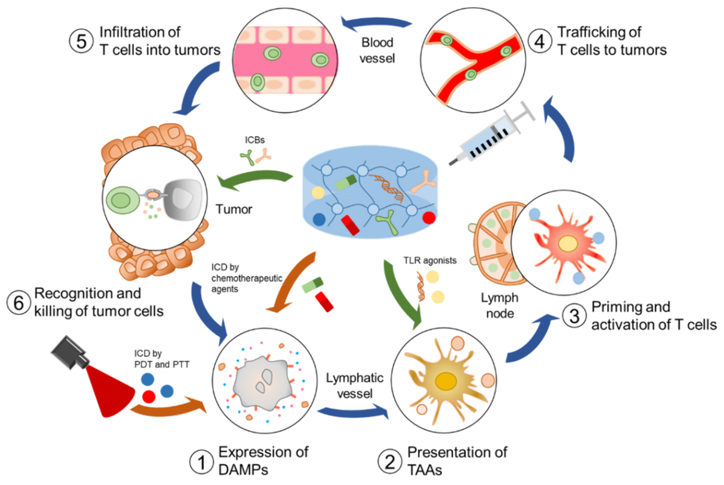 Pharmaceutics 14 01908 sch001 550