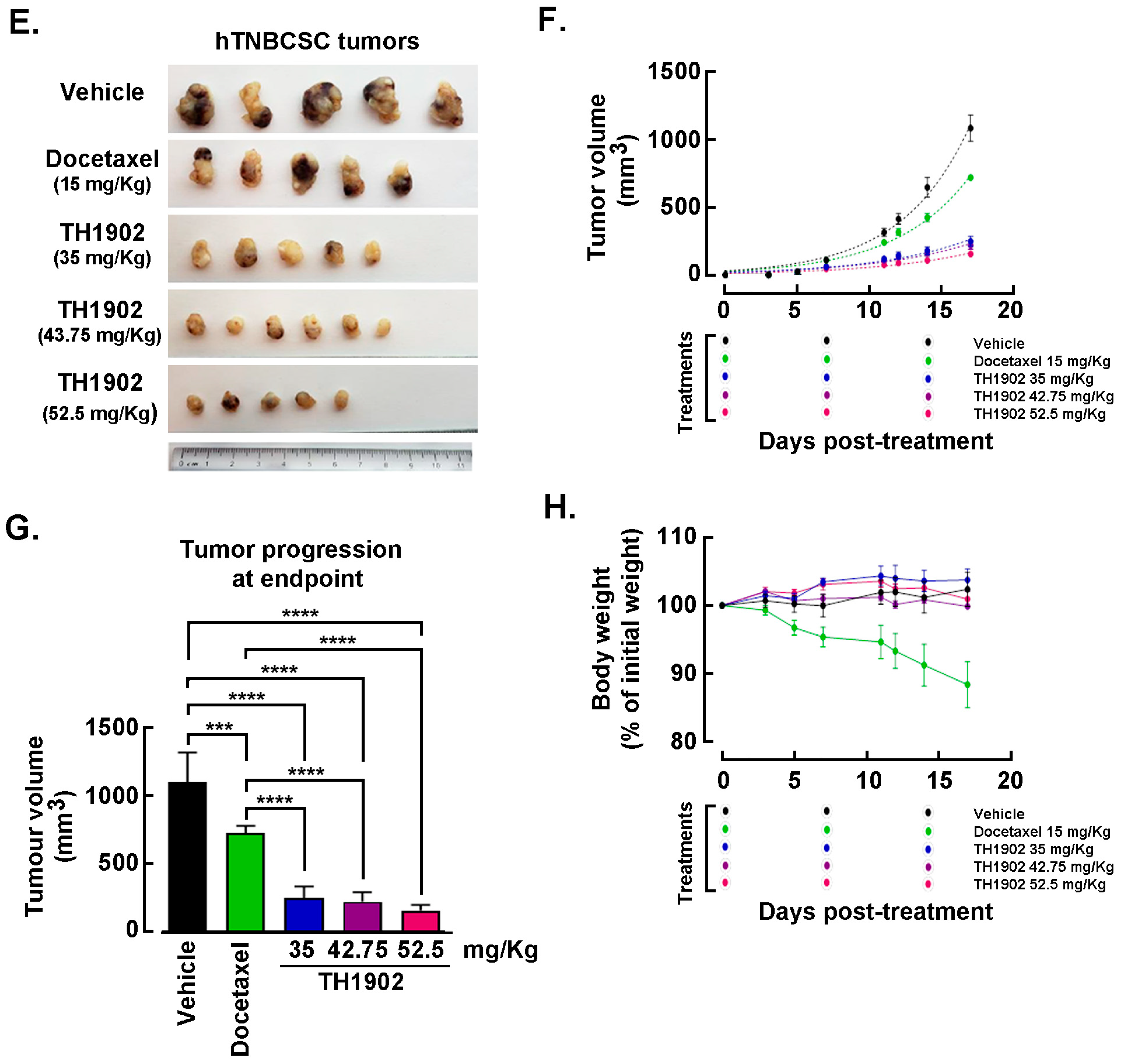 Pharmaceutics 14 01910 g006b