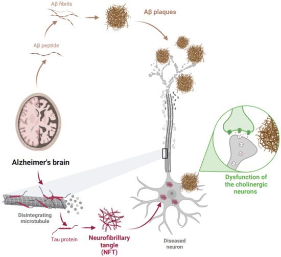 New Drug Design Avenues Targeting Alzheimer’s Disease by ...