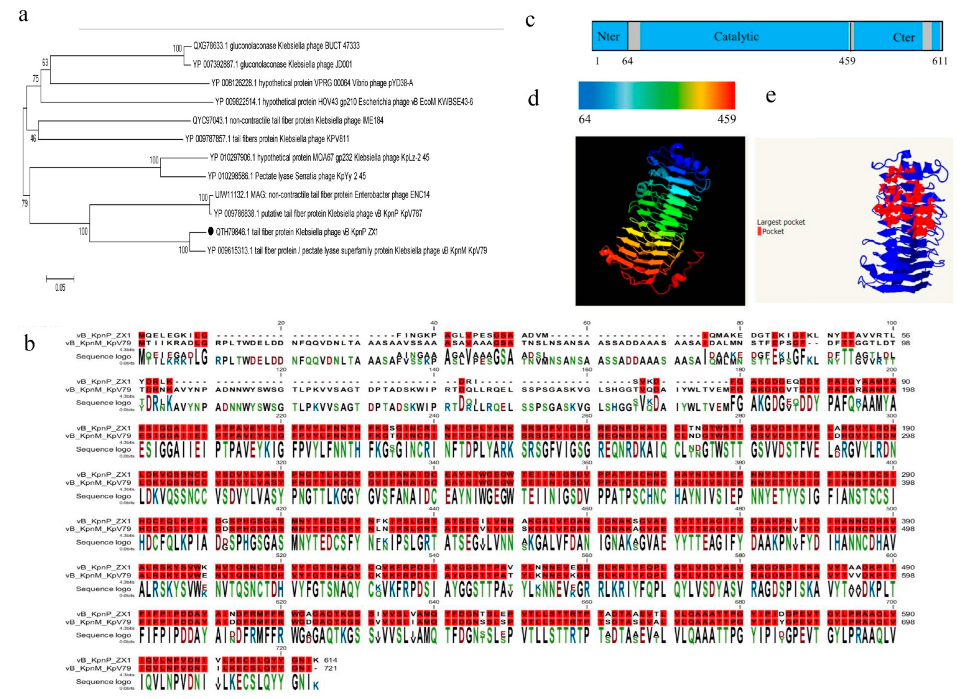 Pharmaceutics 14 01916 g004 Pharmaceutics 14 01916 g004