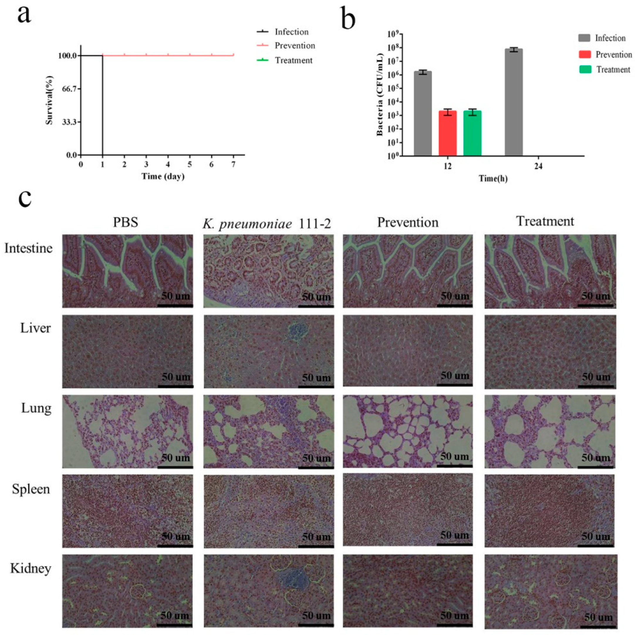 Pharmaceutics 14 01916 g009 Pharmaceutics 14 01916 g009