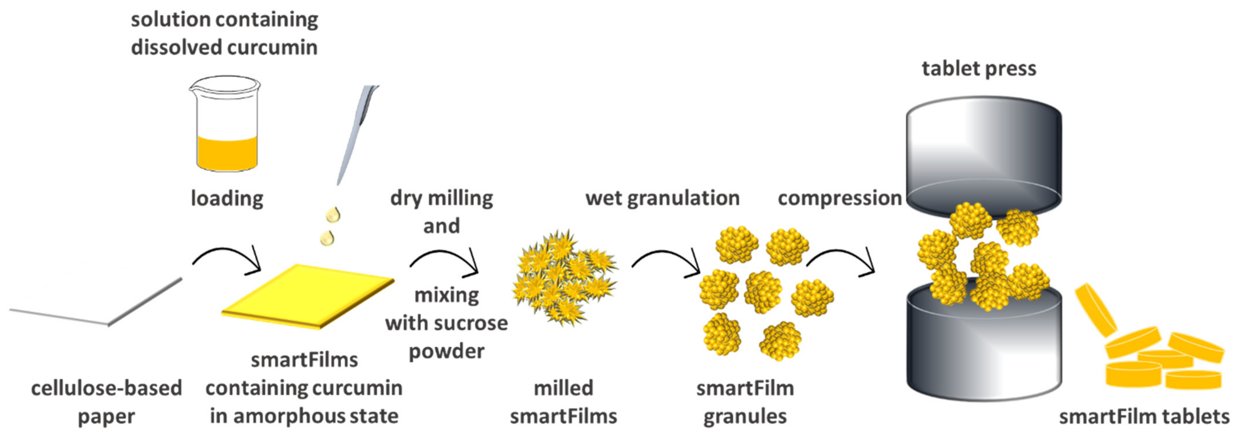 Pharmaceutics 14 01918 g001 550
