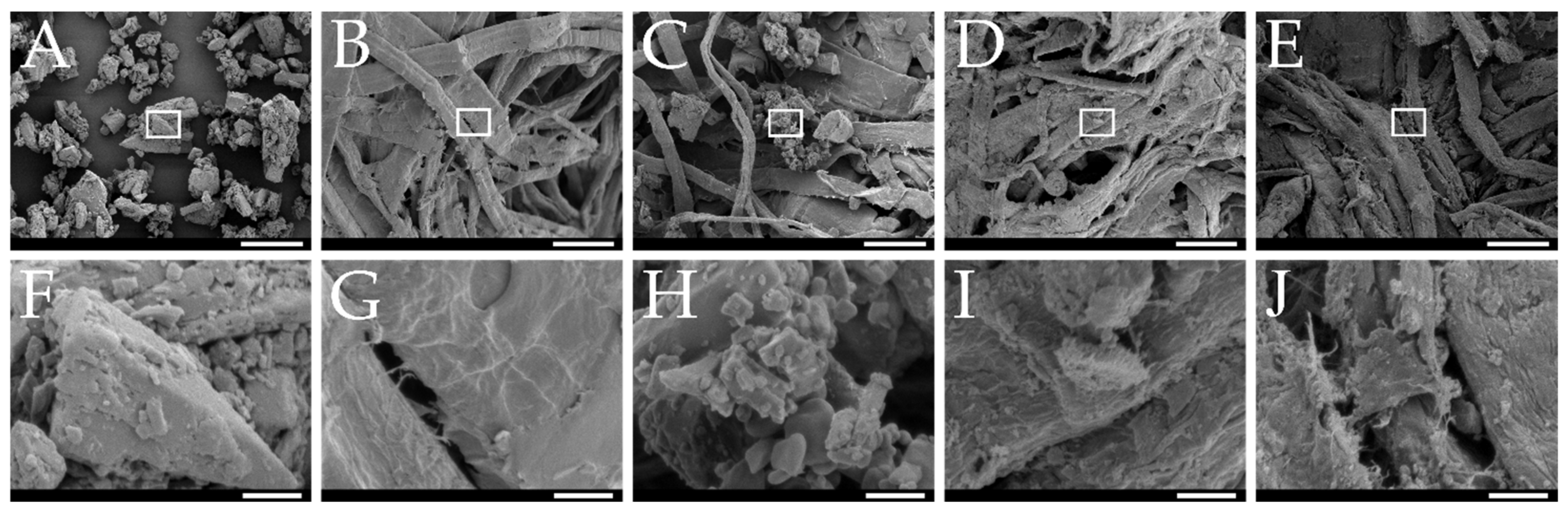 Pharmaceutics 14 01918 g003 550