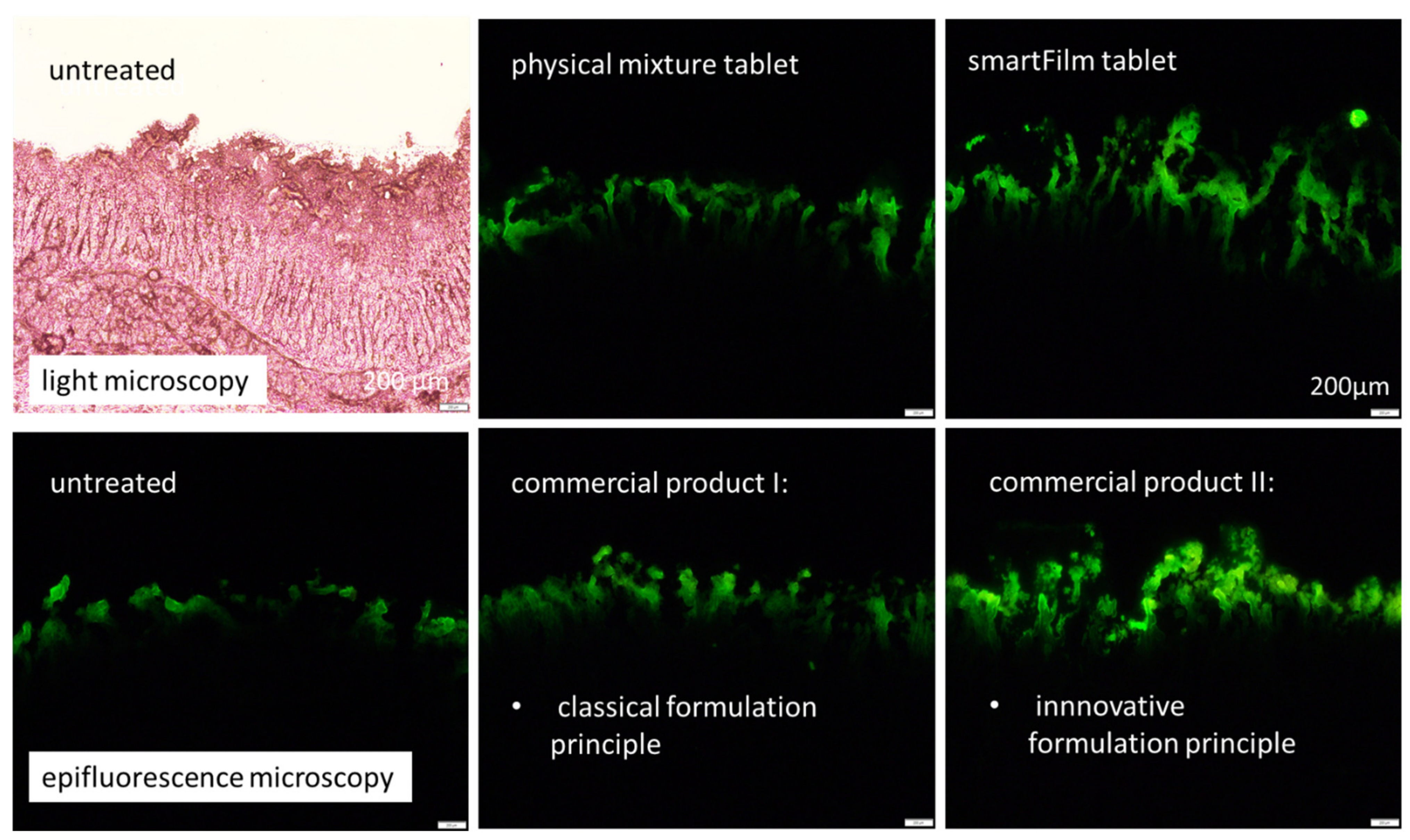 Pharmaceutics 14 01918 g006 550
