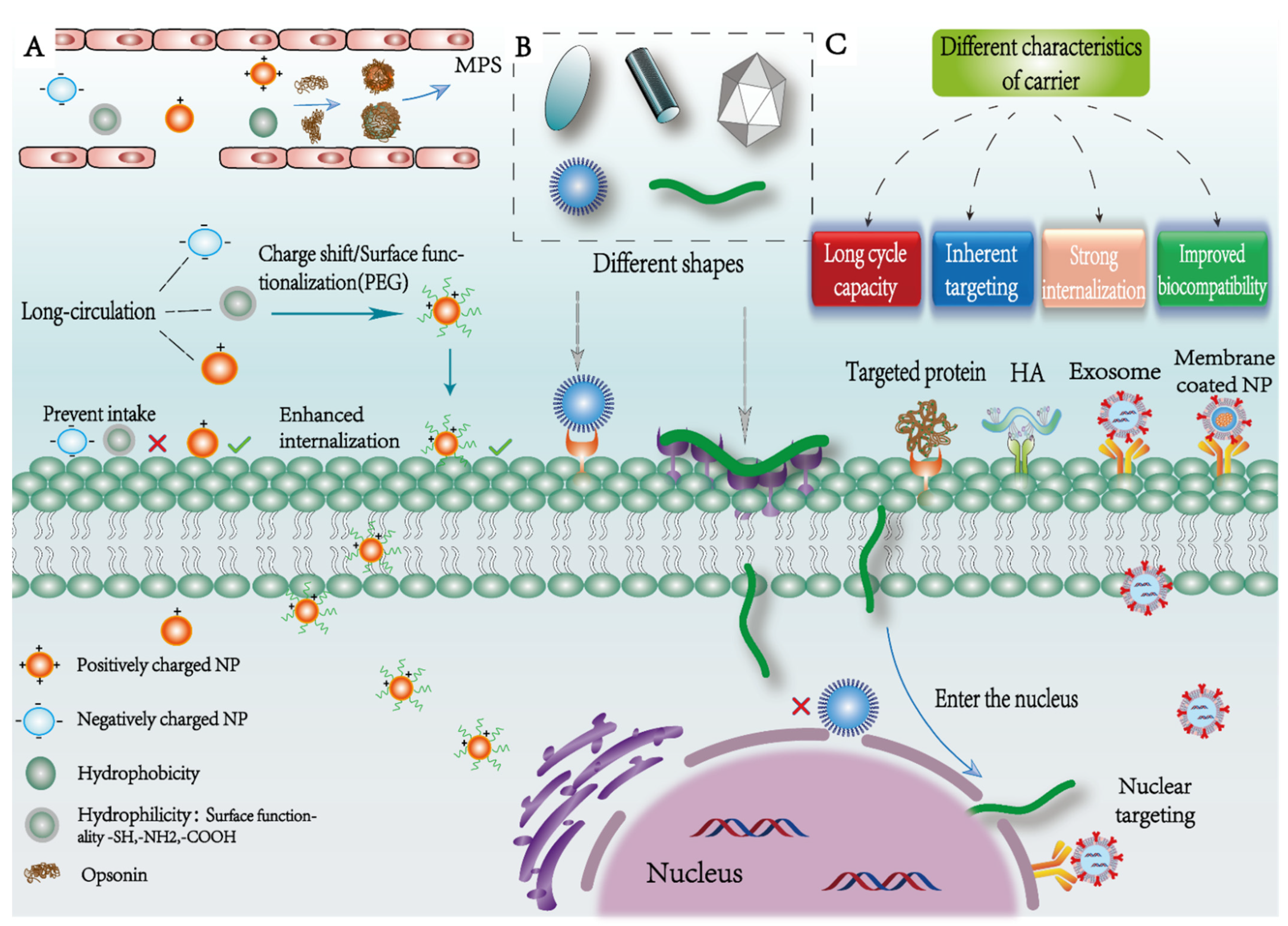 Pharmaceutics 14 01919 g002 550