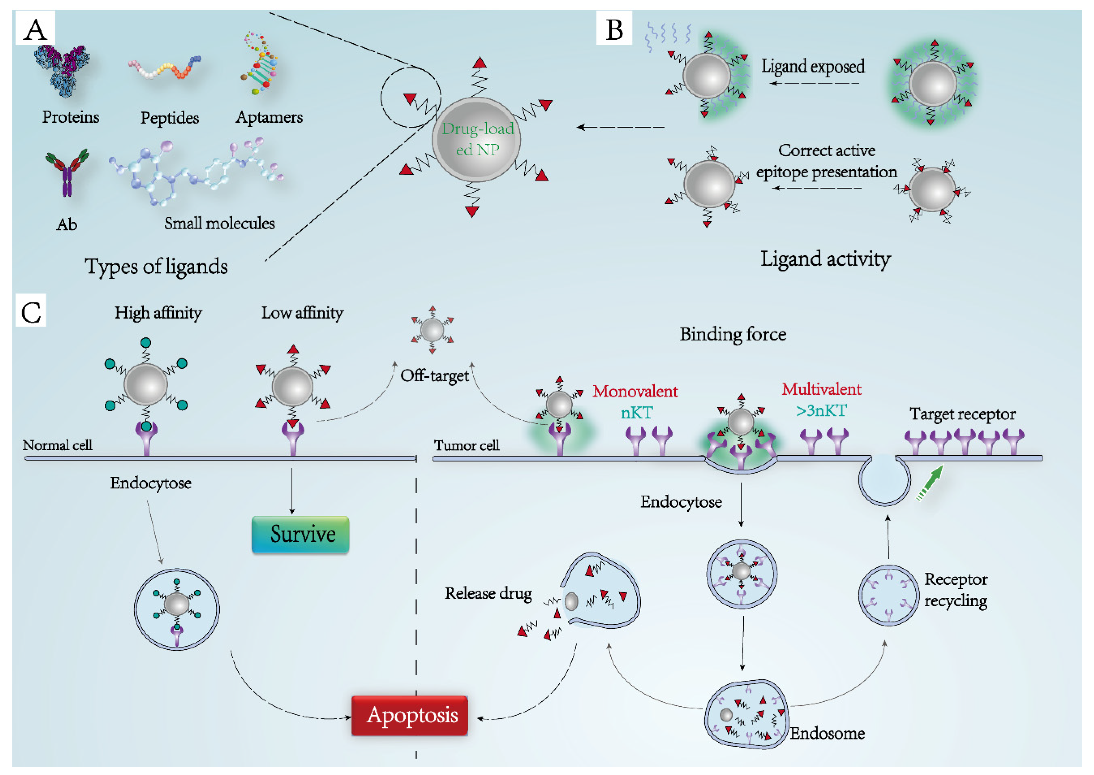 Pharmaceutics 14 01919 g003 550