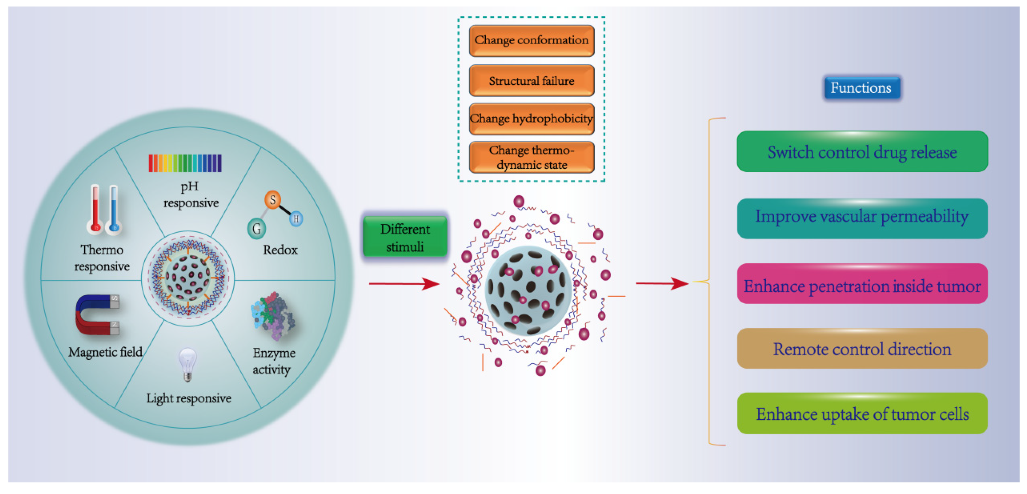 Pharmaceutics 14 01919 g004 550