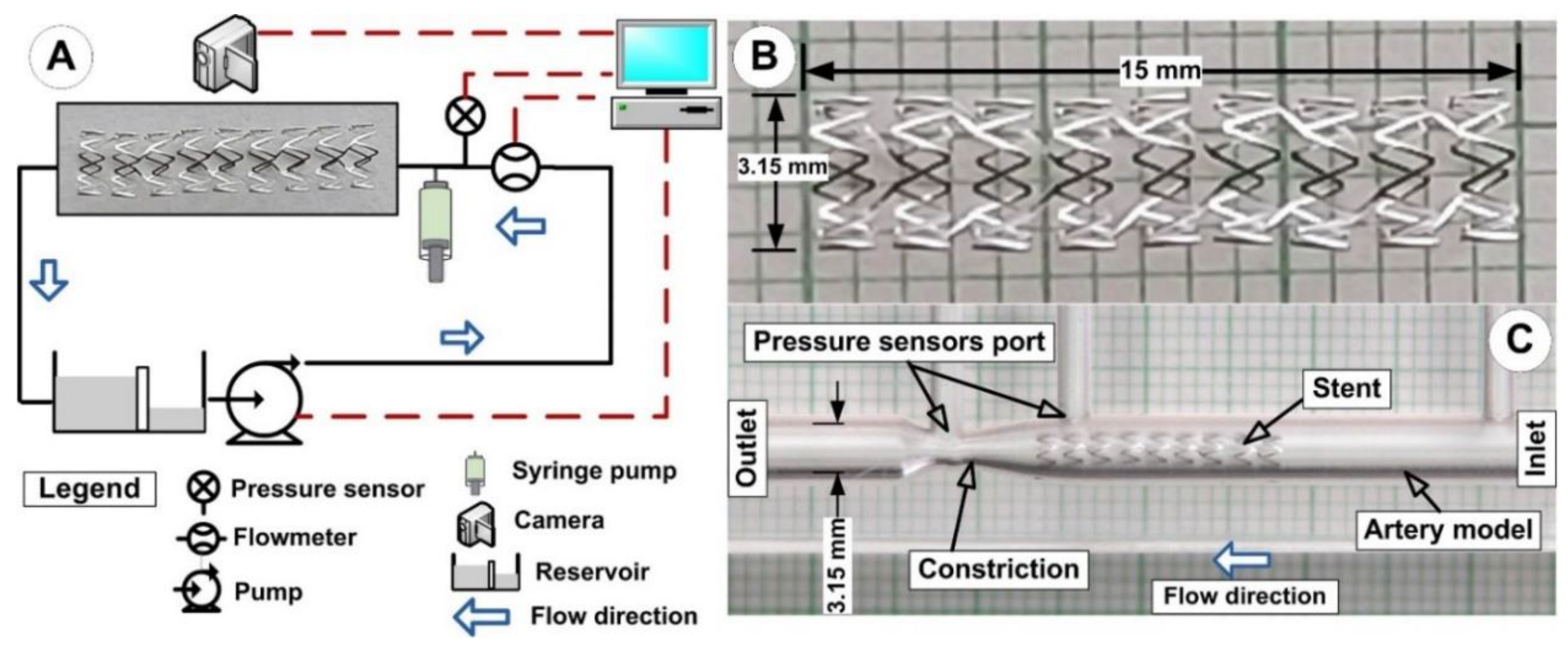 Pharmaceutics 14 01923 g002
