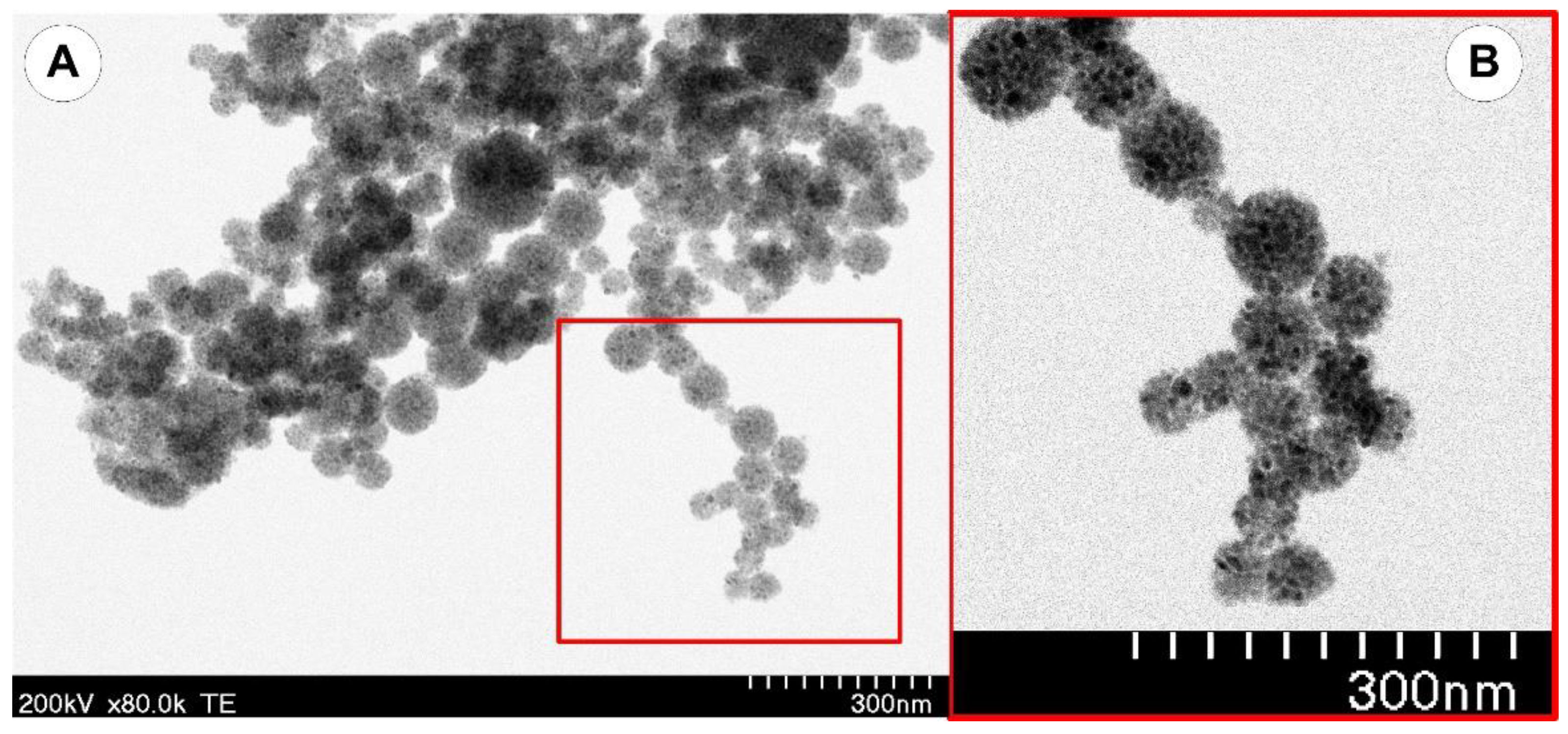 Pharmaceutics 14 01923 g005