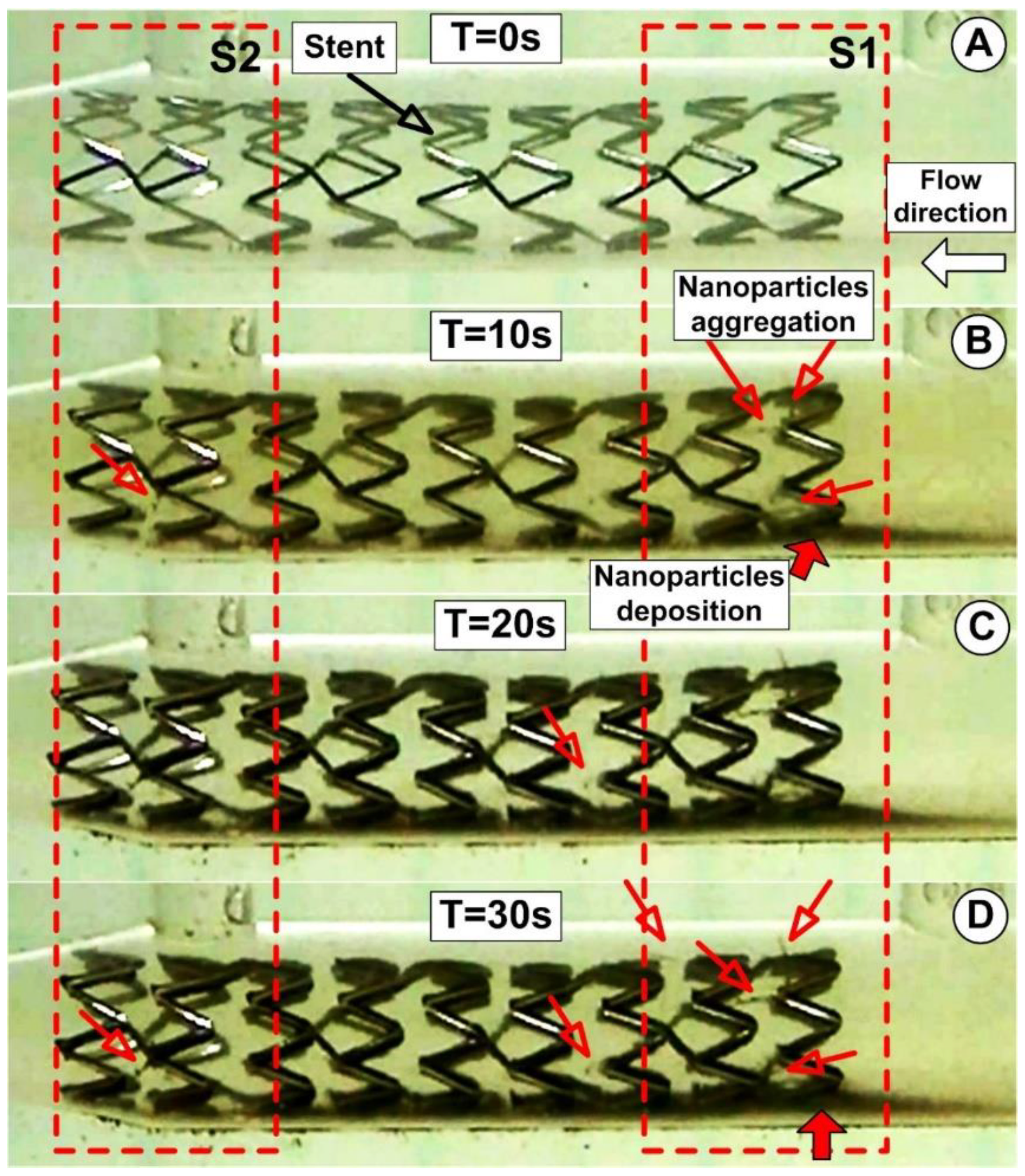 Pharmaceutics 14 01923 g010