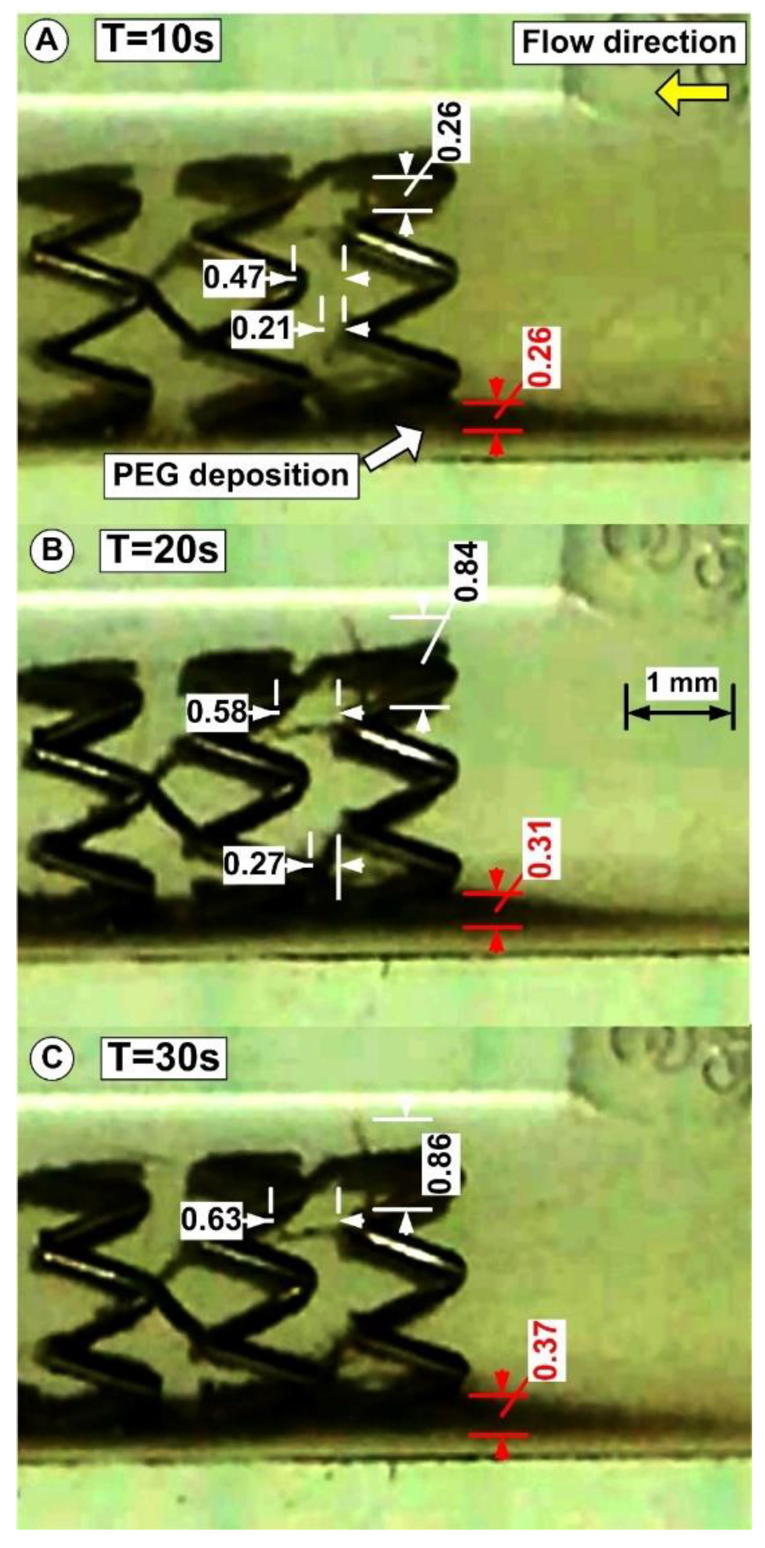 Pharmaceutics 14 01923 g011