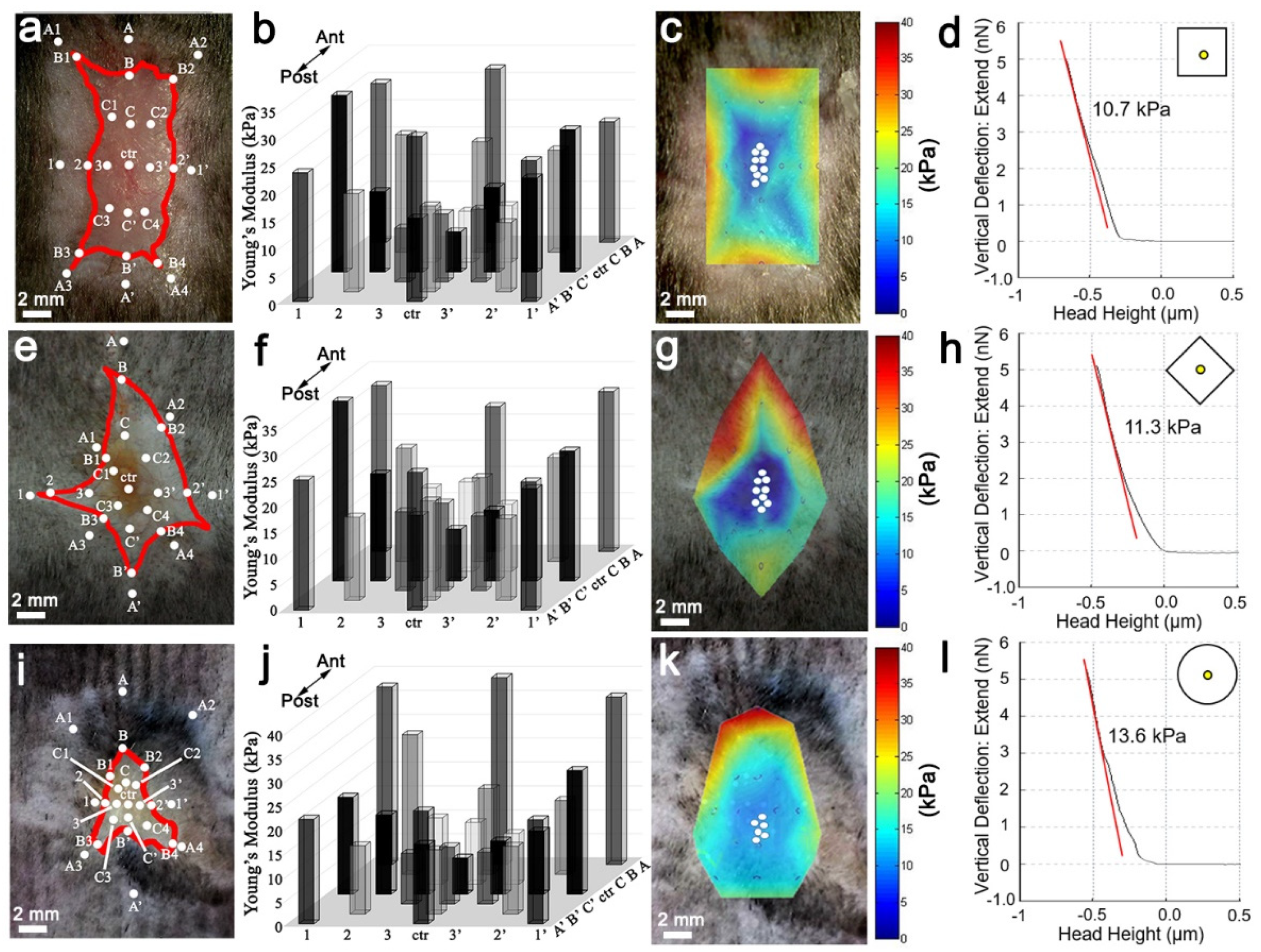 Pharmaceutics 14 01926 g002 550