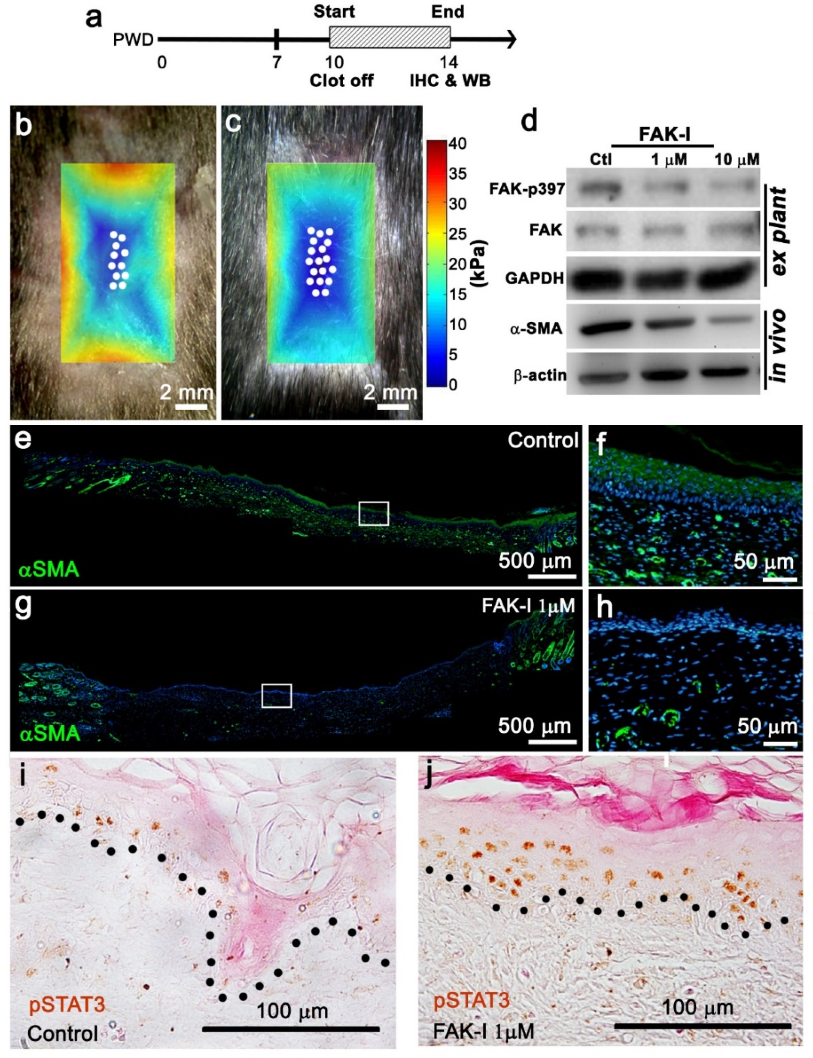 Pharmaceutics 14 01926 g003 550