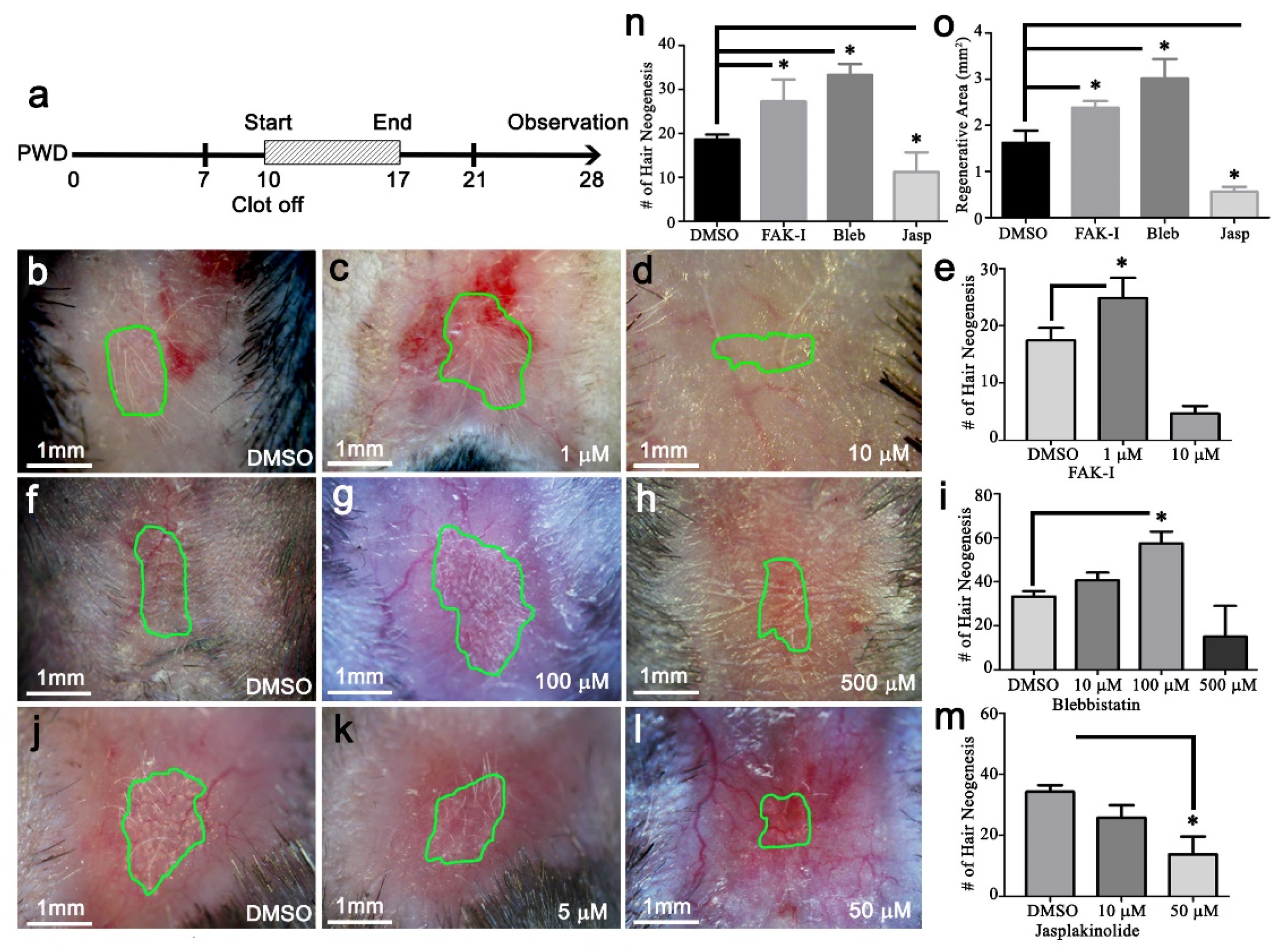 Pharmaceutics 14 01926 g005 550