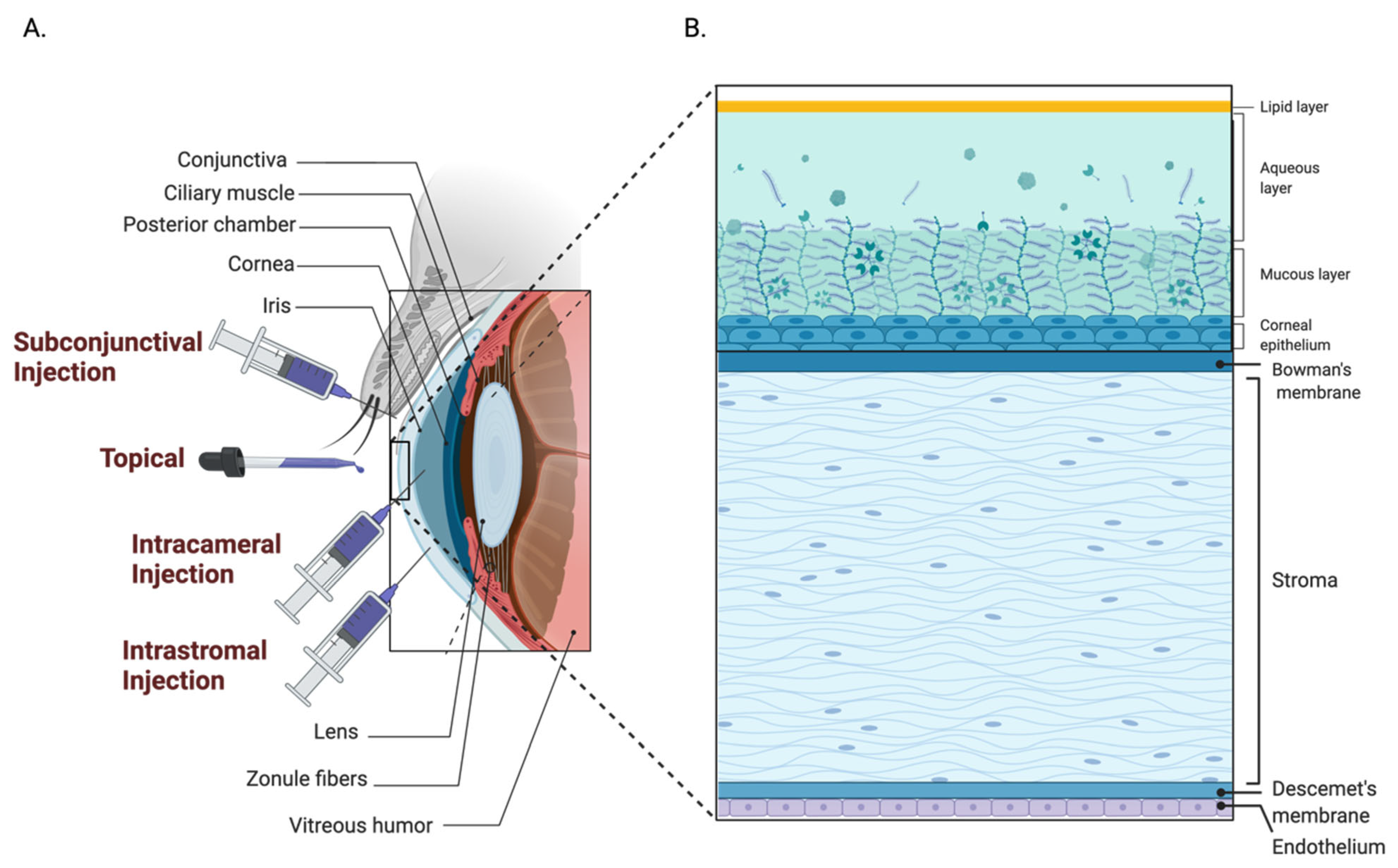 Pharmaceutics 14 01931 g005