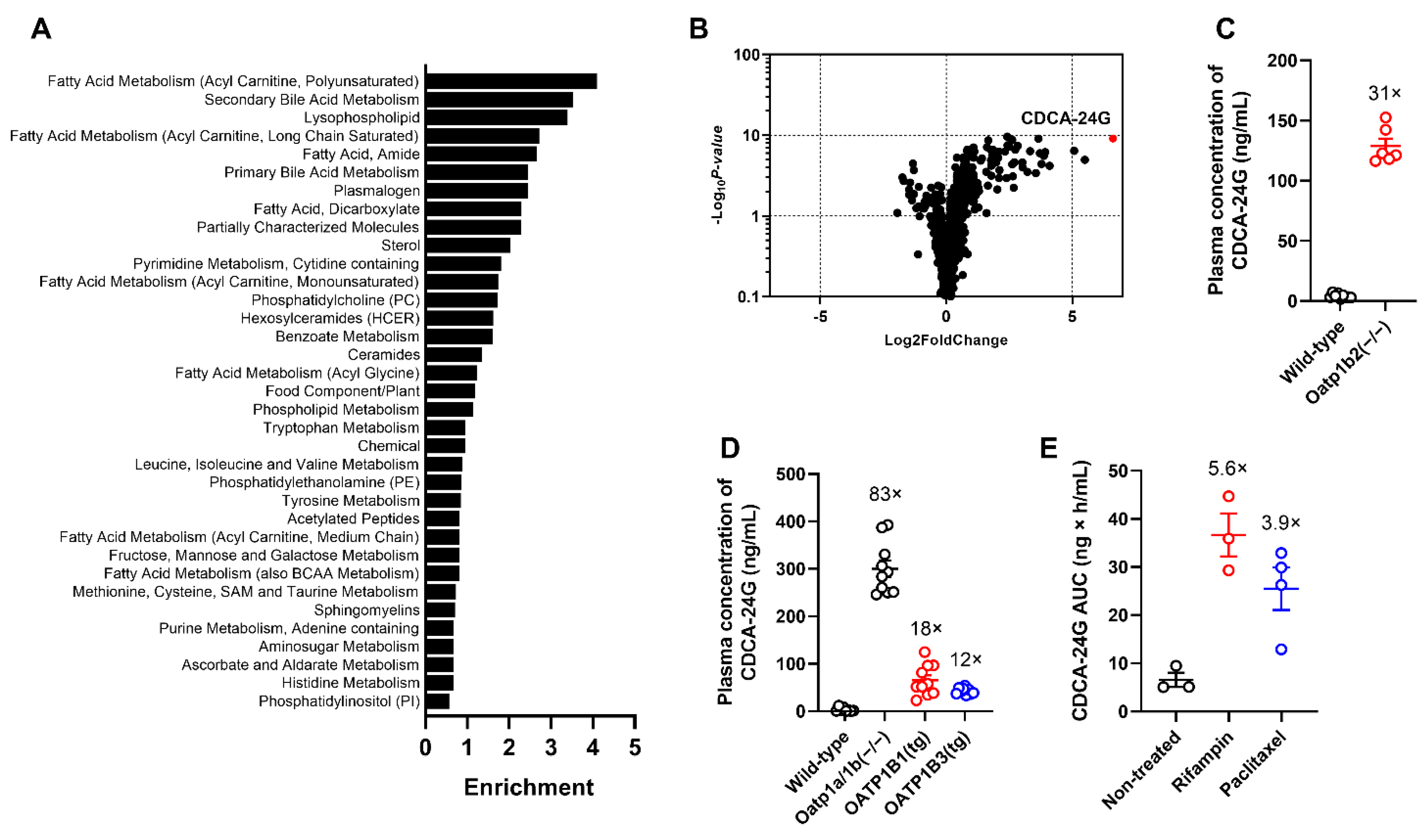 Pharmaceutics 14 01933 g002