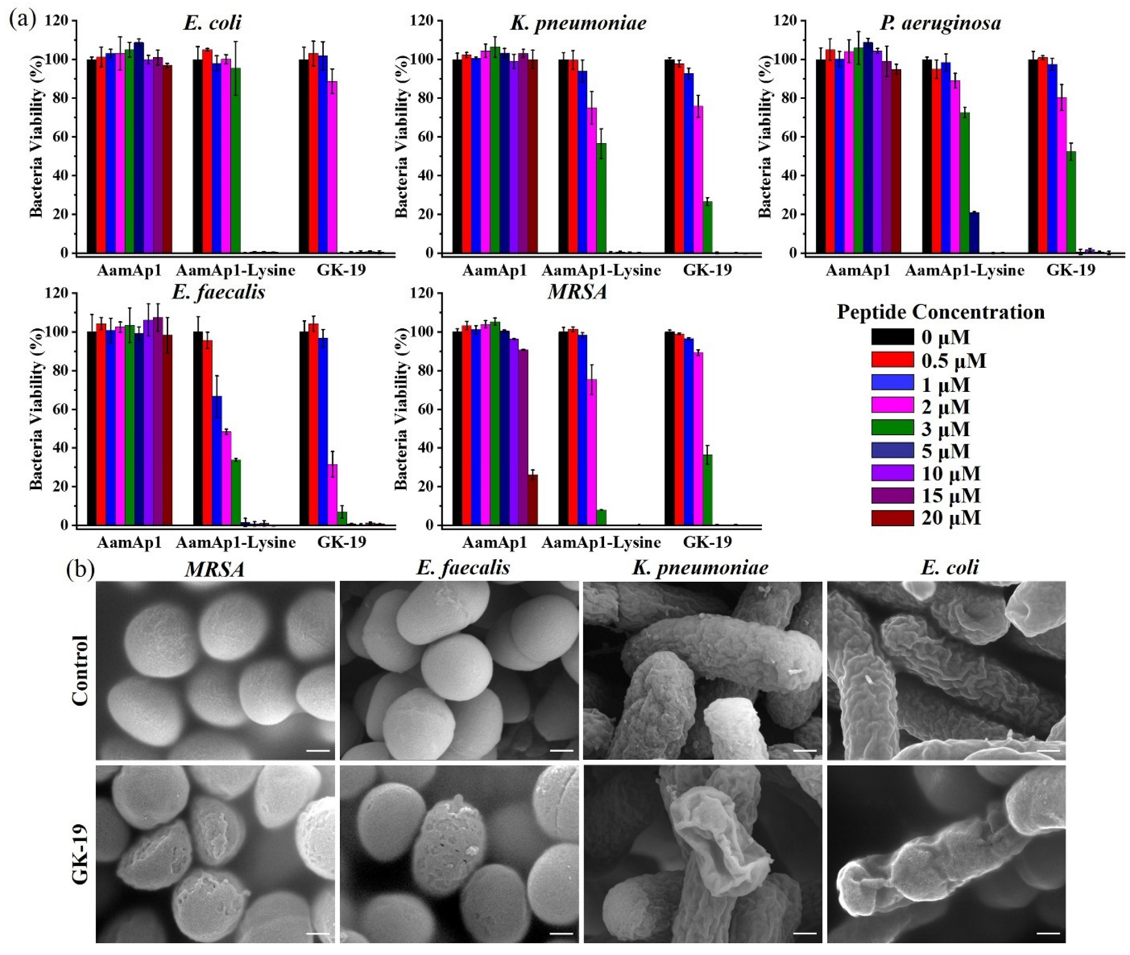 Pharmaceutics 14 01937 g001