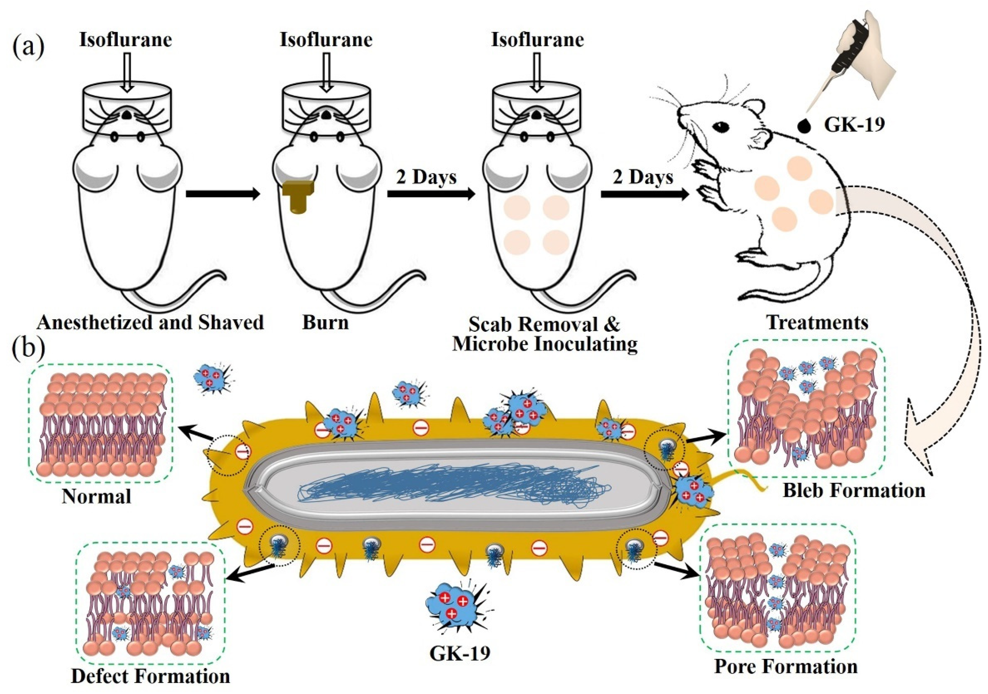 Pharmaceutics 14 01937 sch001