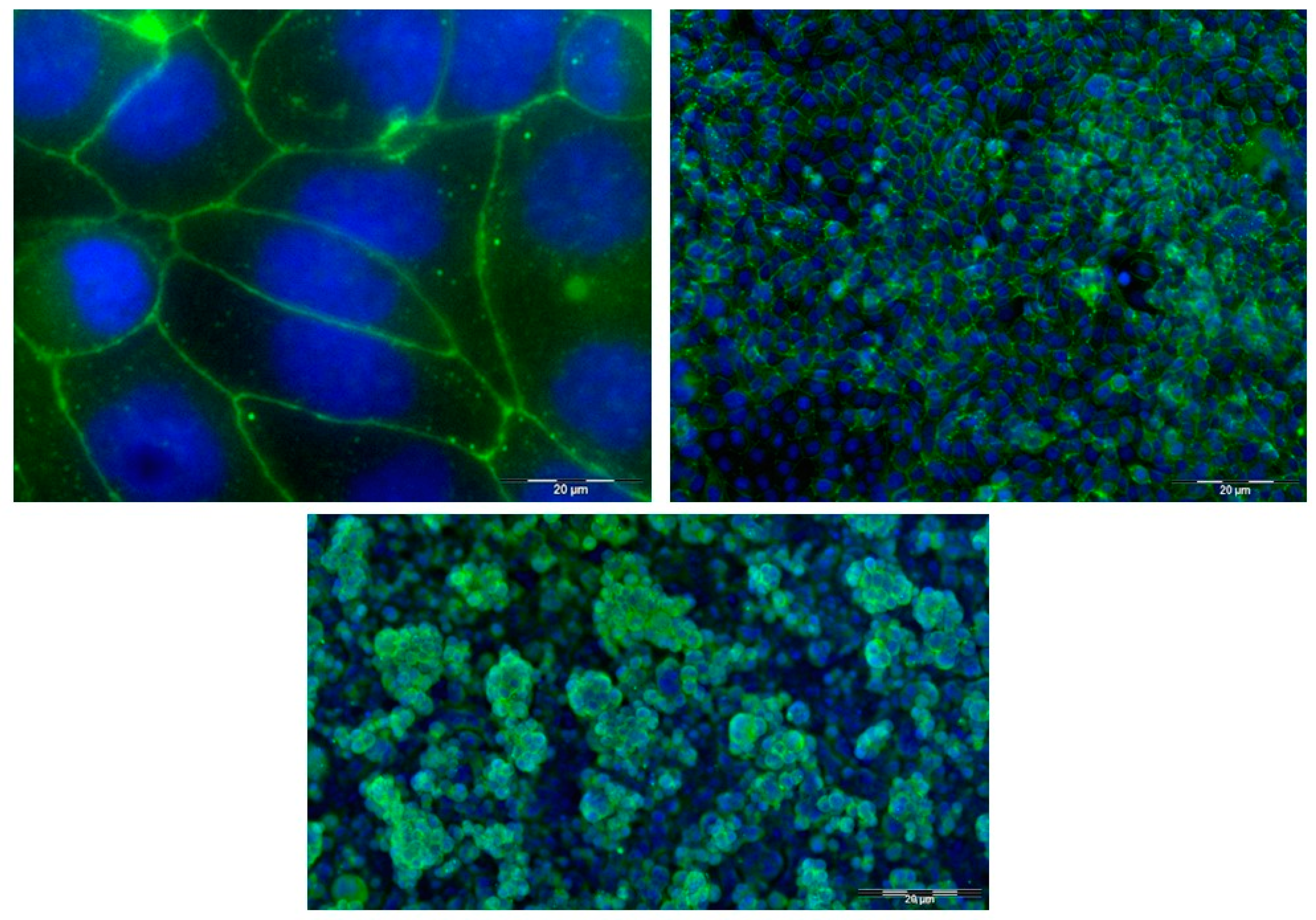 Pharmaceutics 14 01938 g001 Pharmaceutics 14 01938 g001