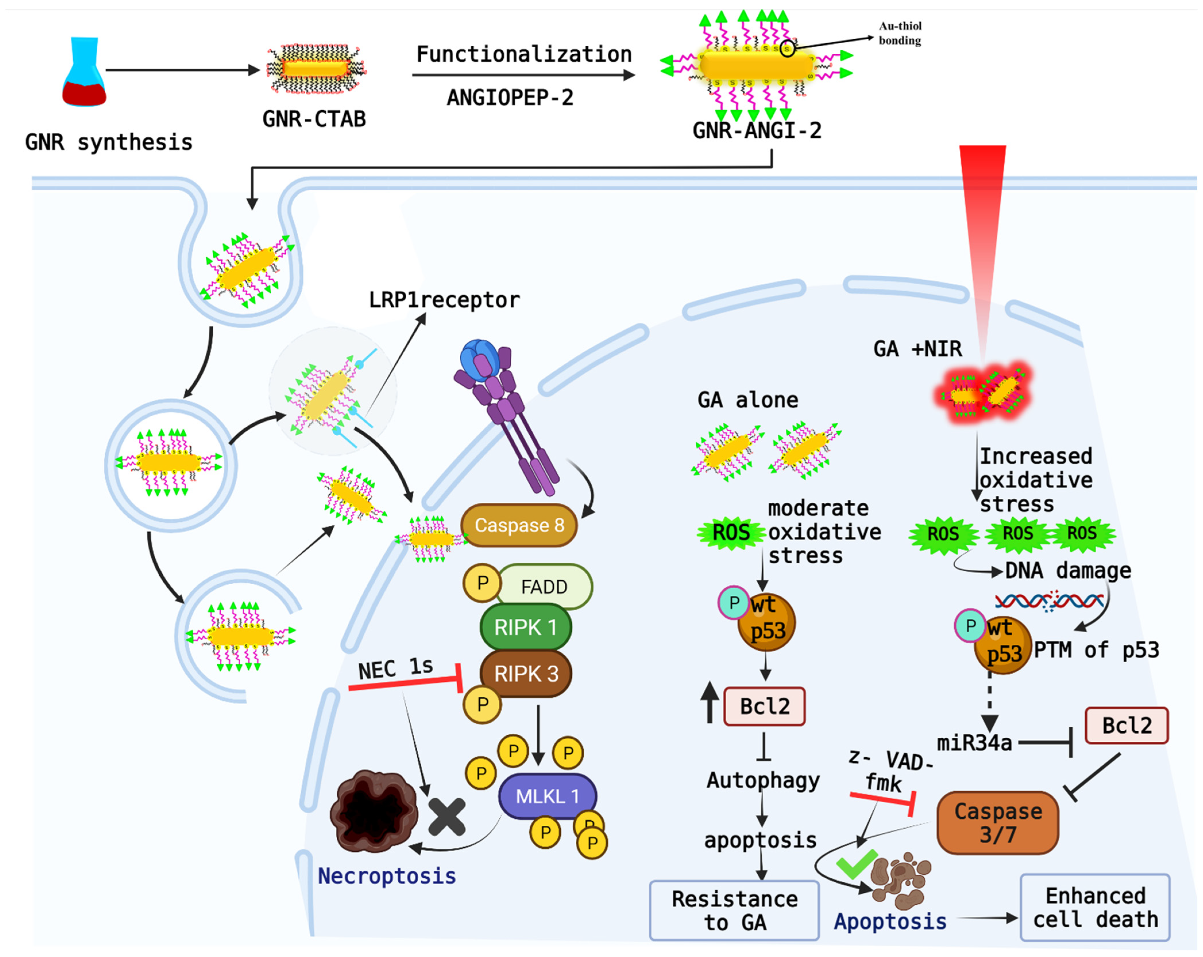 Pharmaceutics 14 01939 sch001