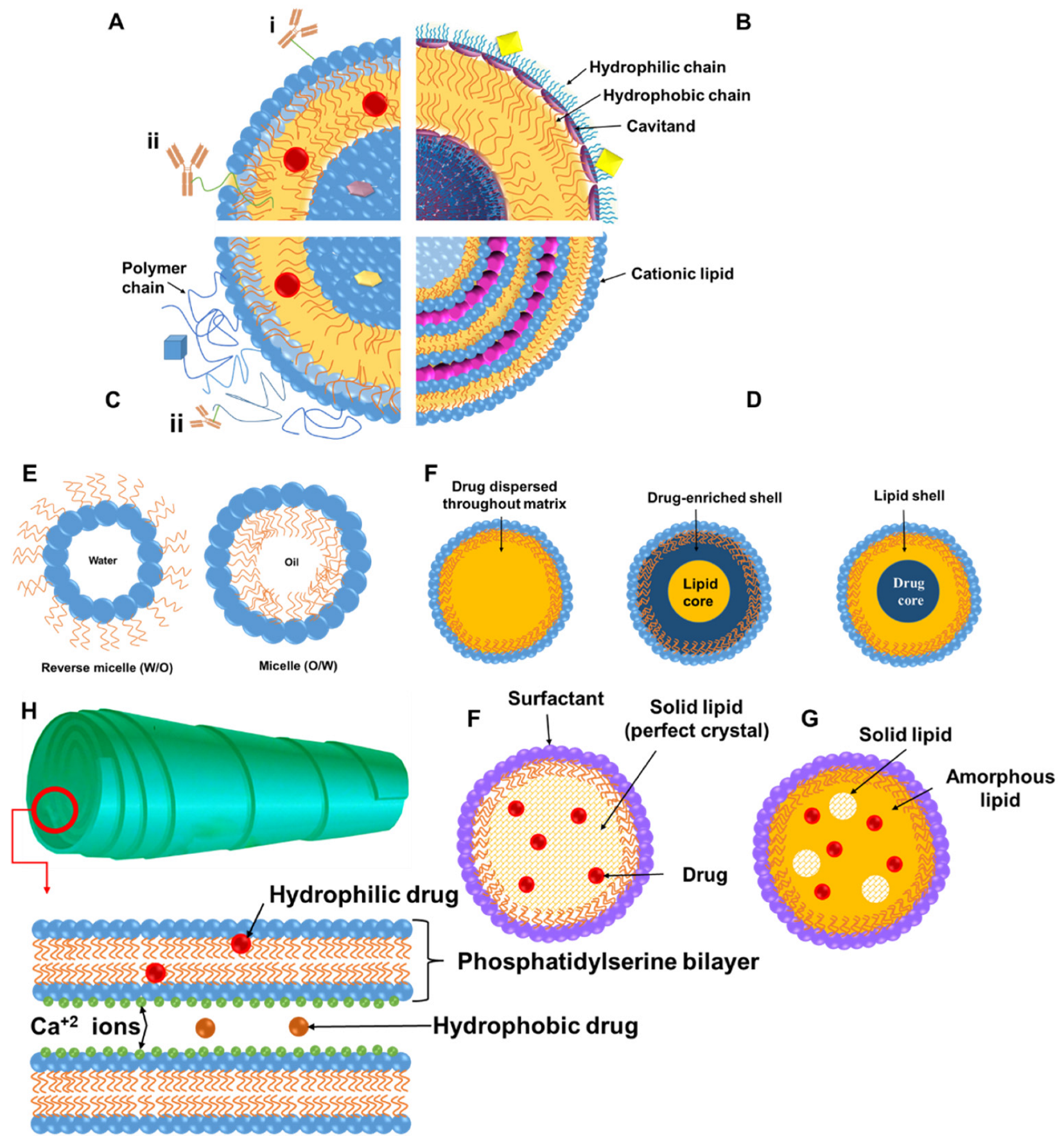 Pharmaceutics 14 01940 g001