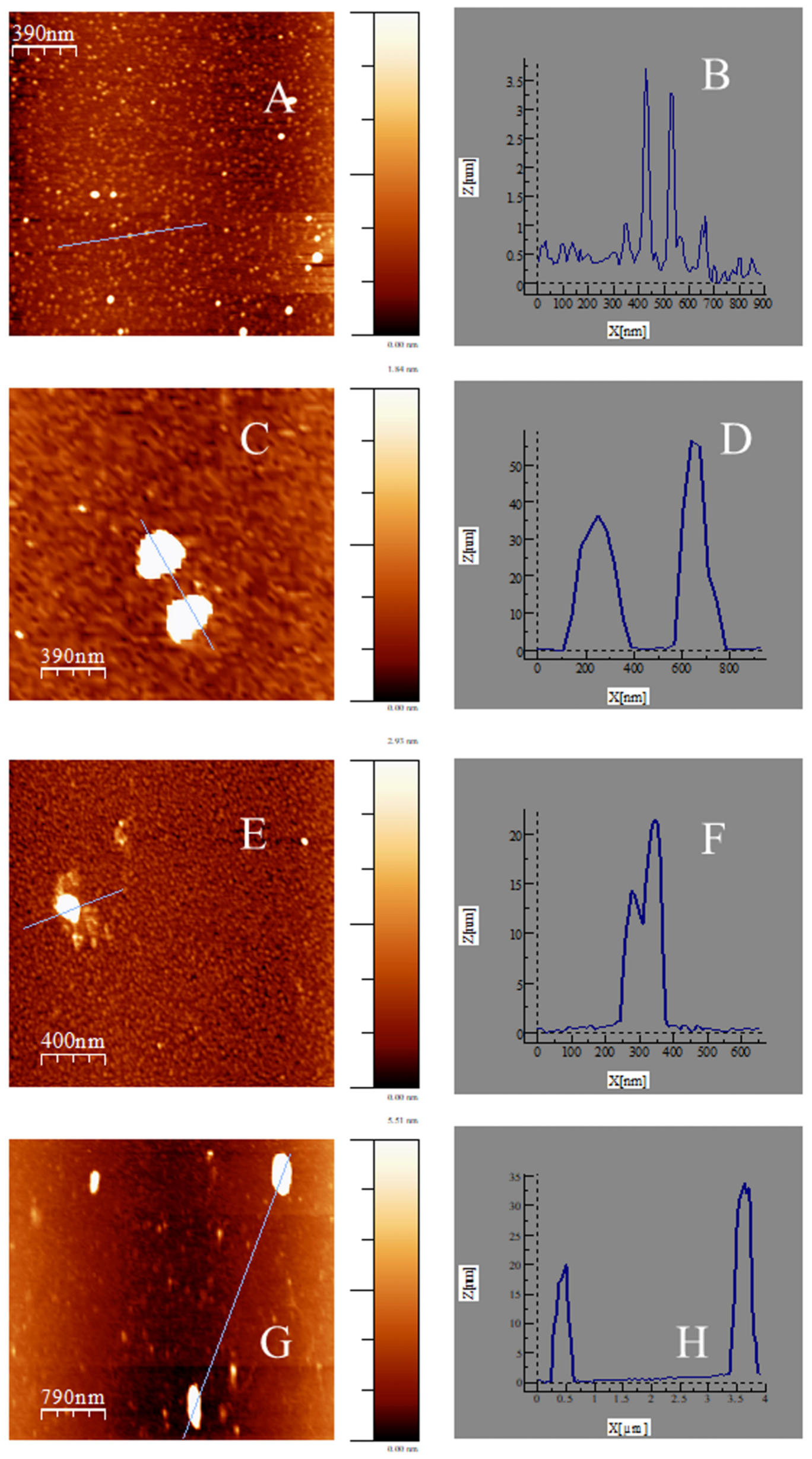 Pharmaceutics 14 01941 g002
