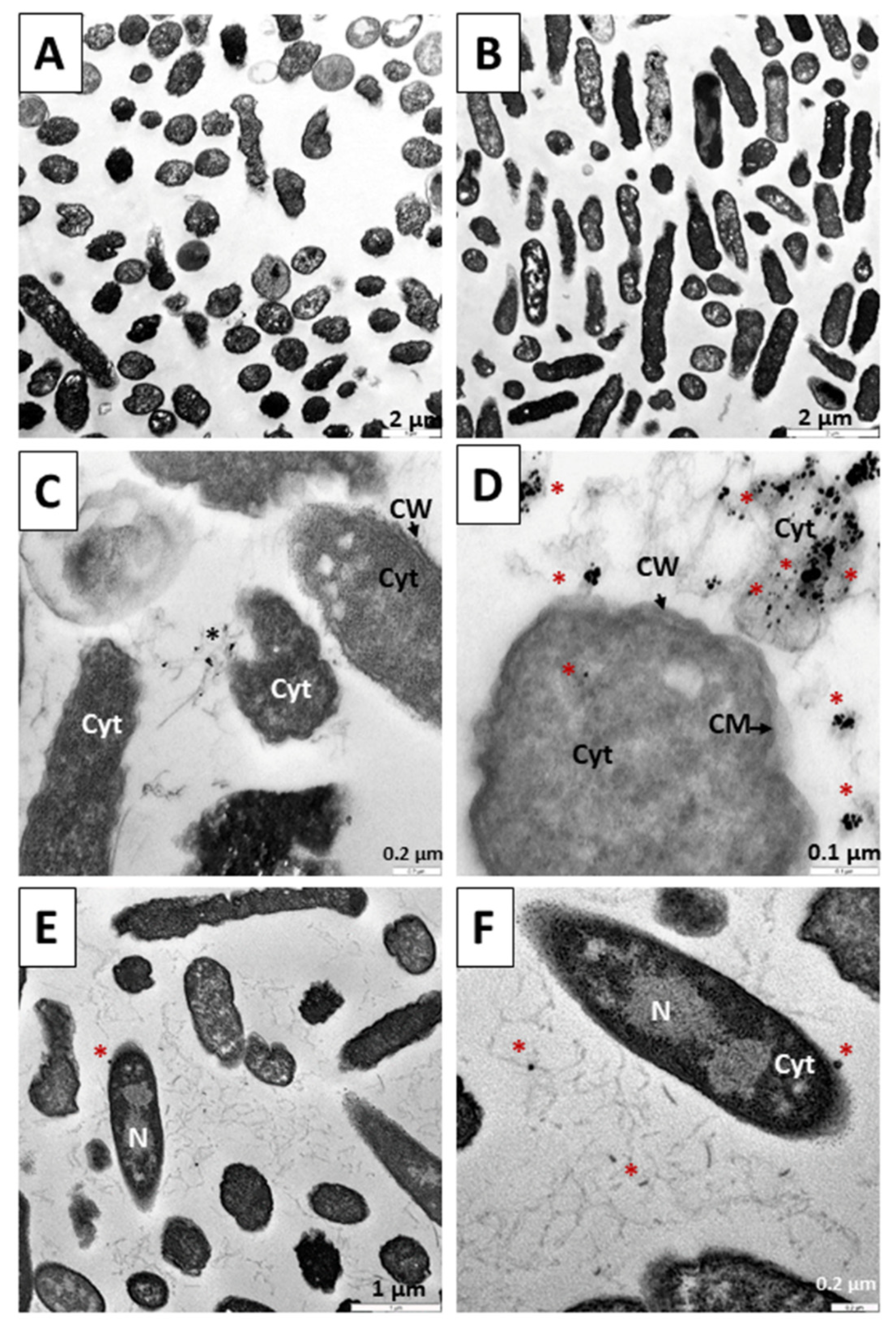 Pharmaceutics 14 01941 g012