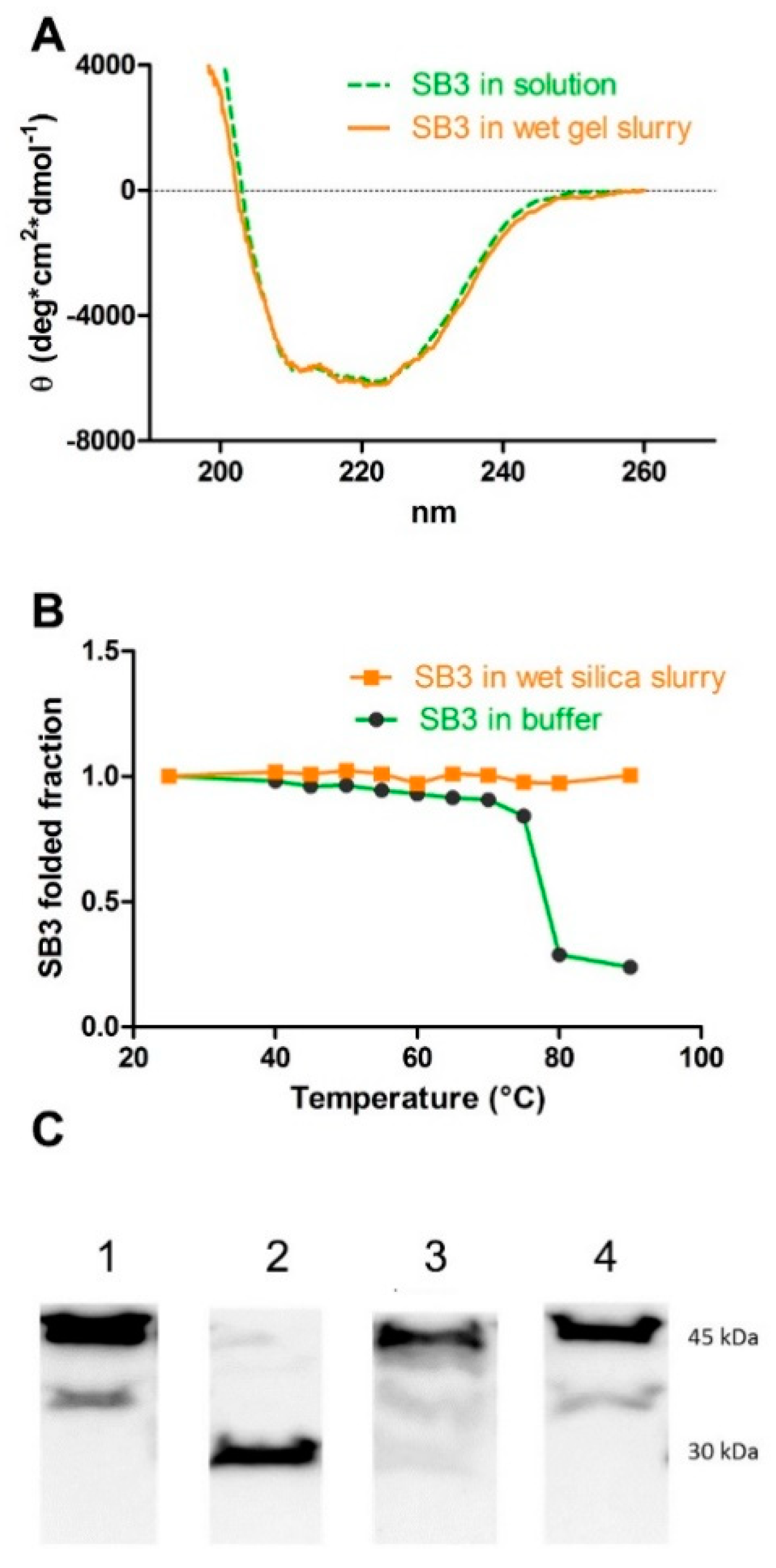 Pharmaceutics 14 01944 g002 550