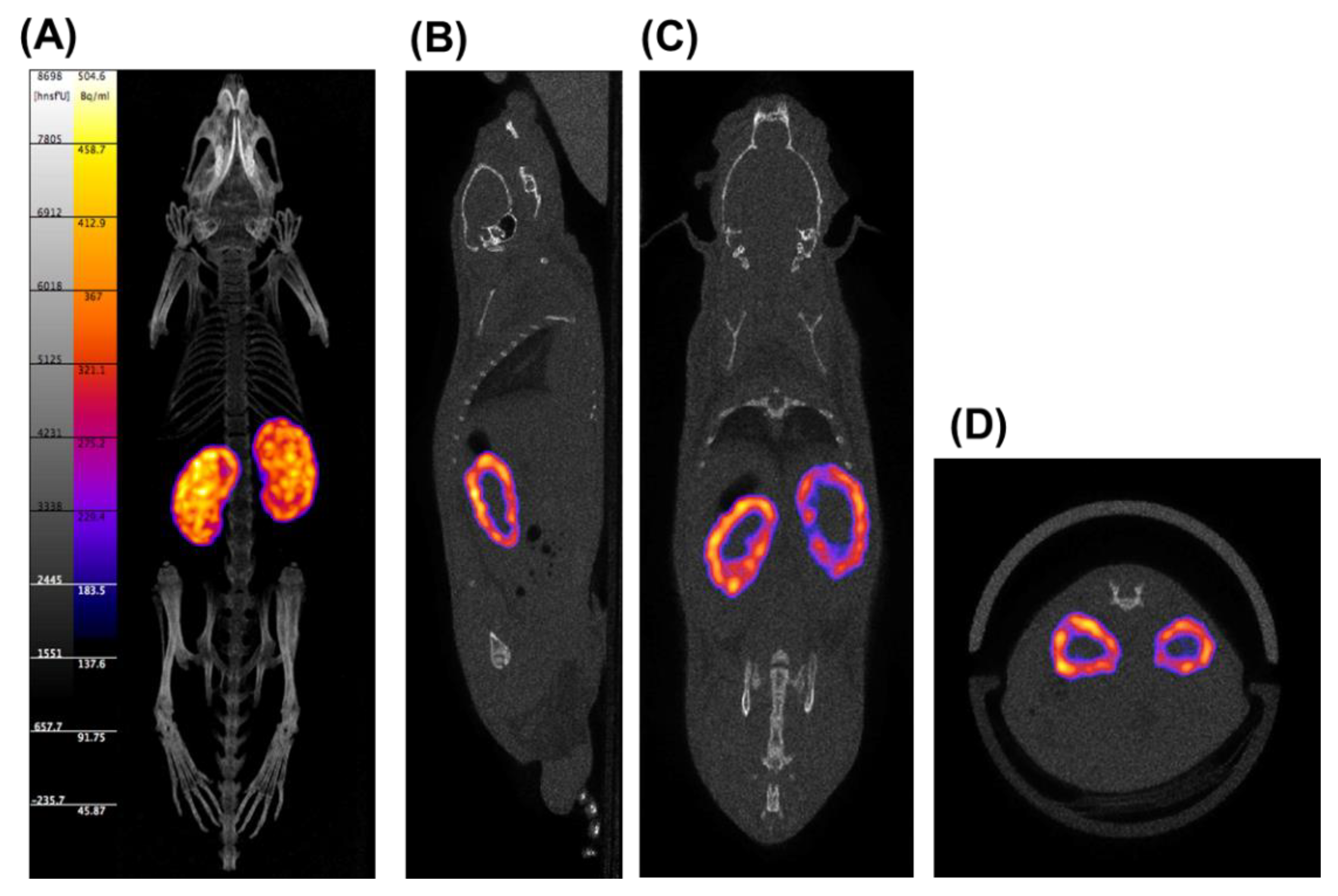 Pharmaceutics 14 01946 g002
