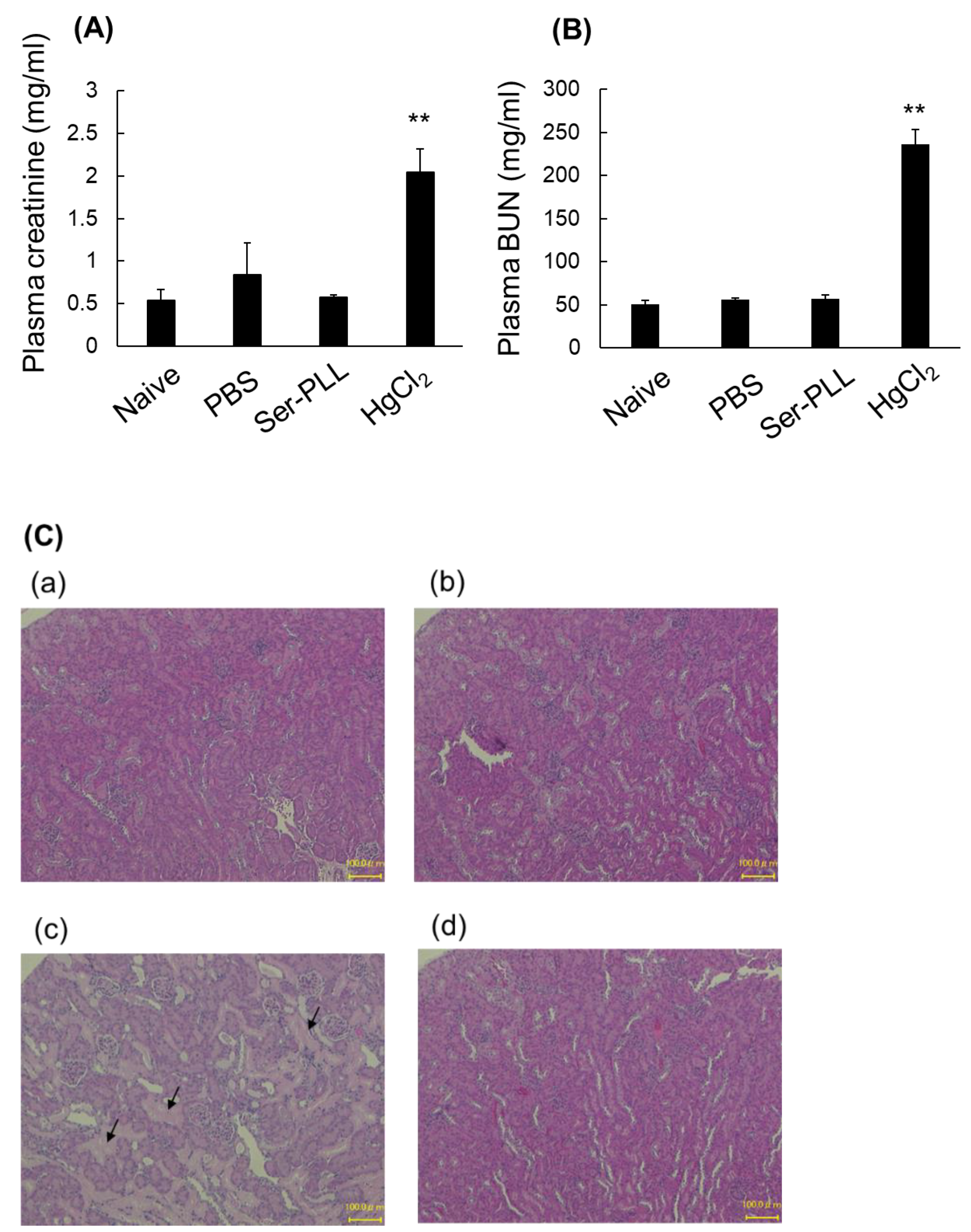 Pharmaceutics 14 01946 g005