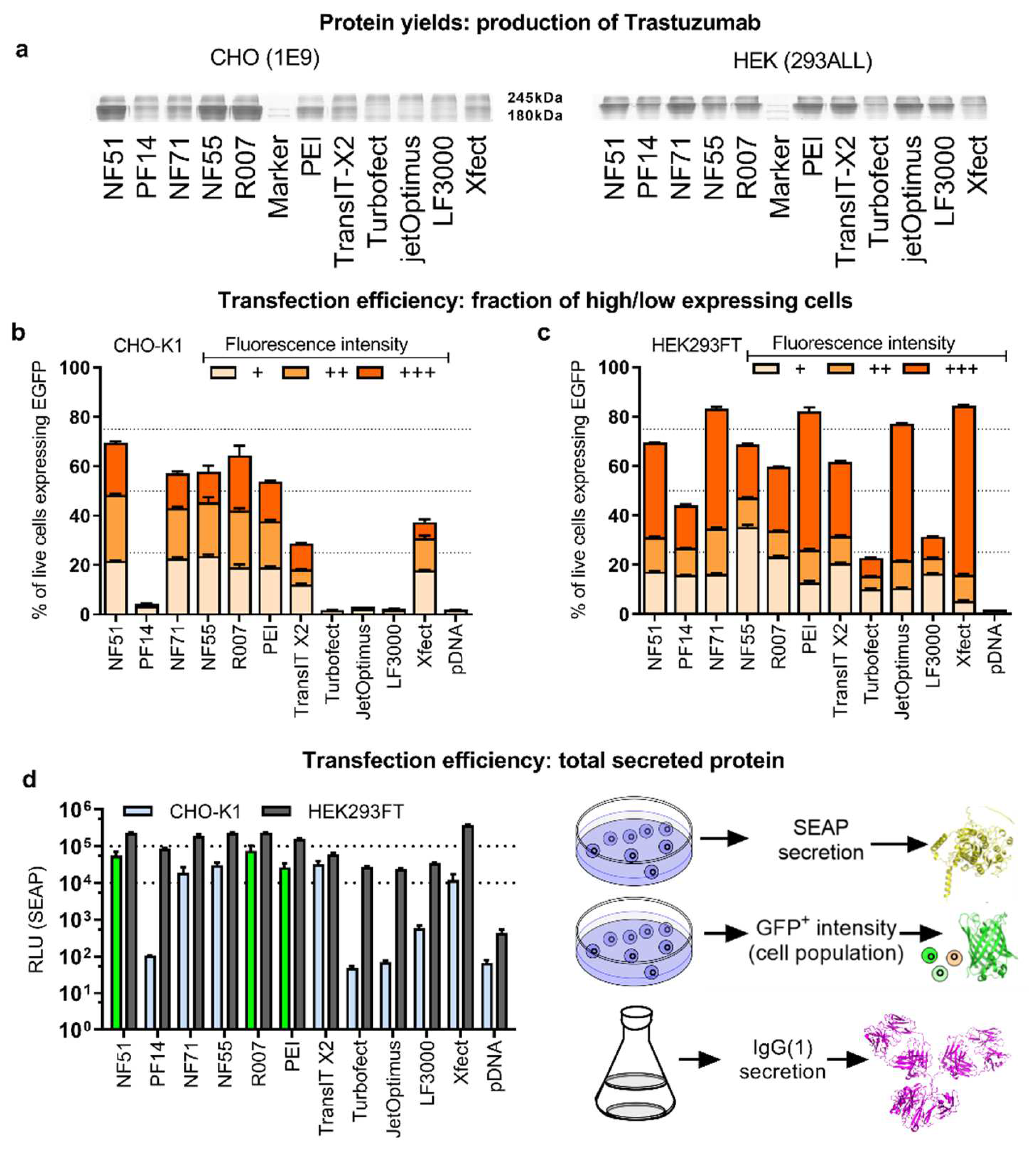 Pharmaceutics 14 01949 g003 550