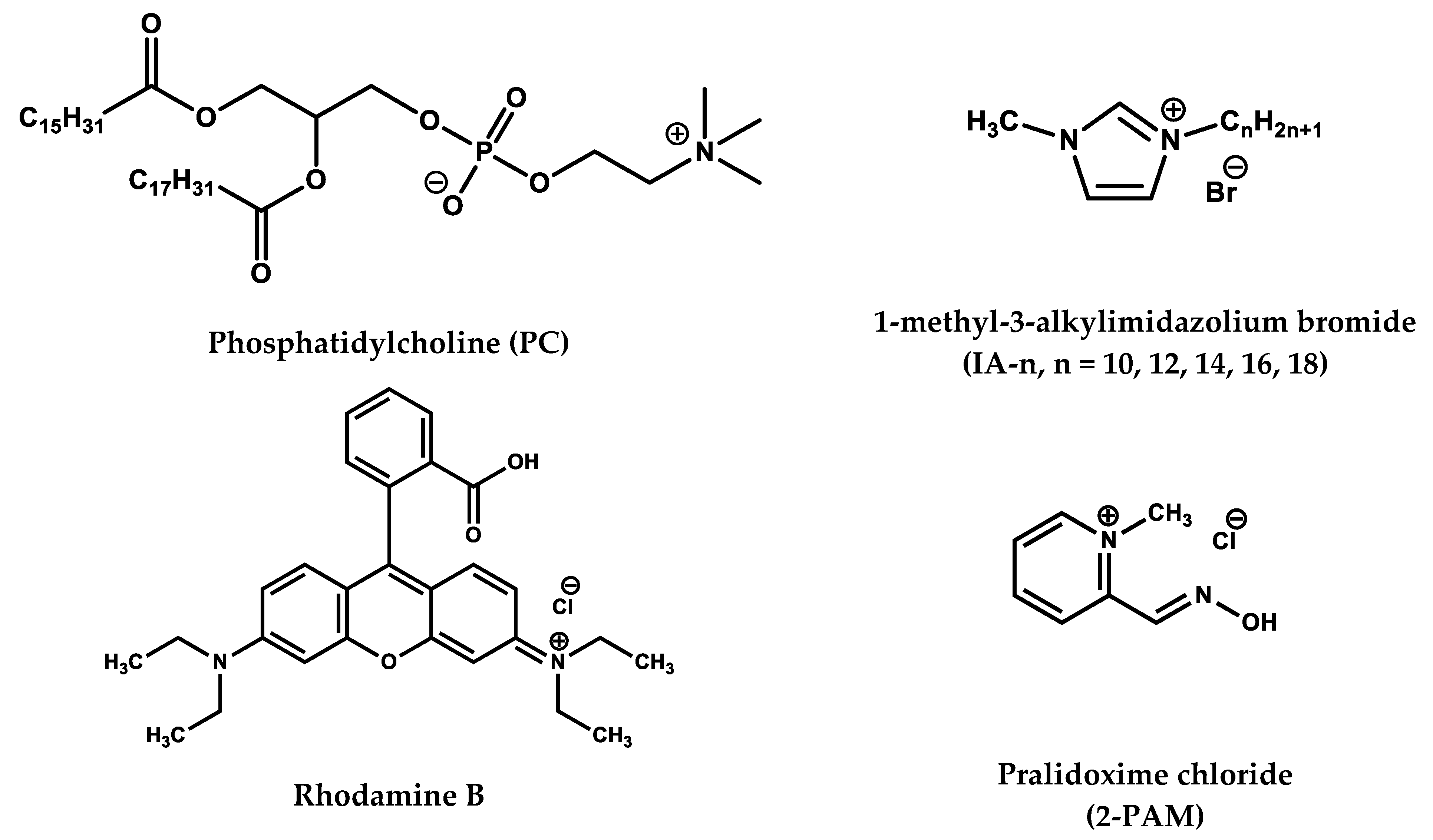 Pharmaceutics 14 01950 g001