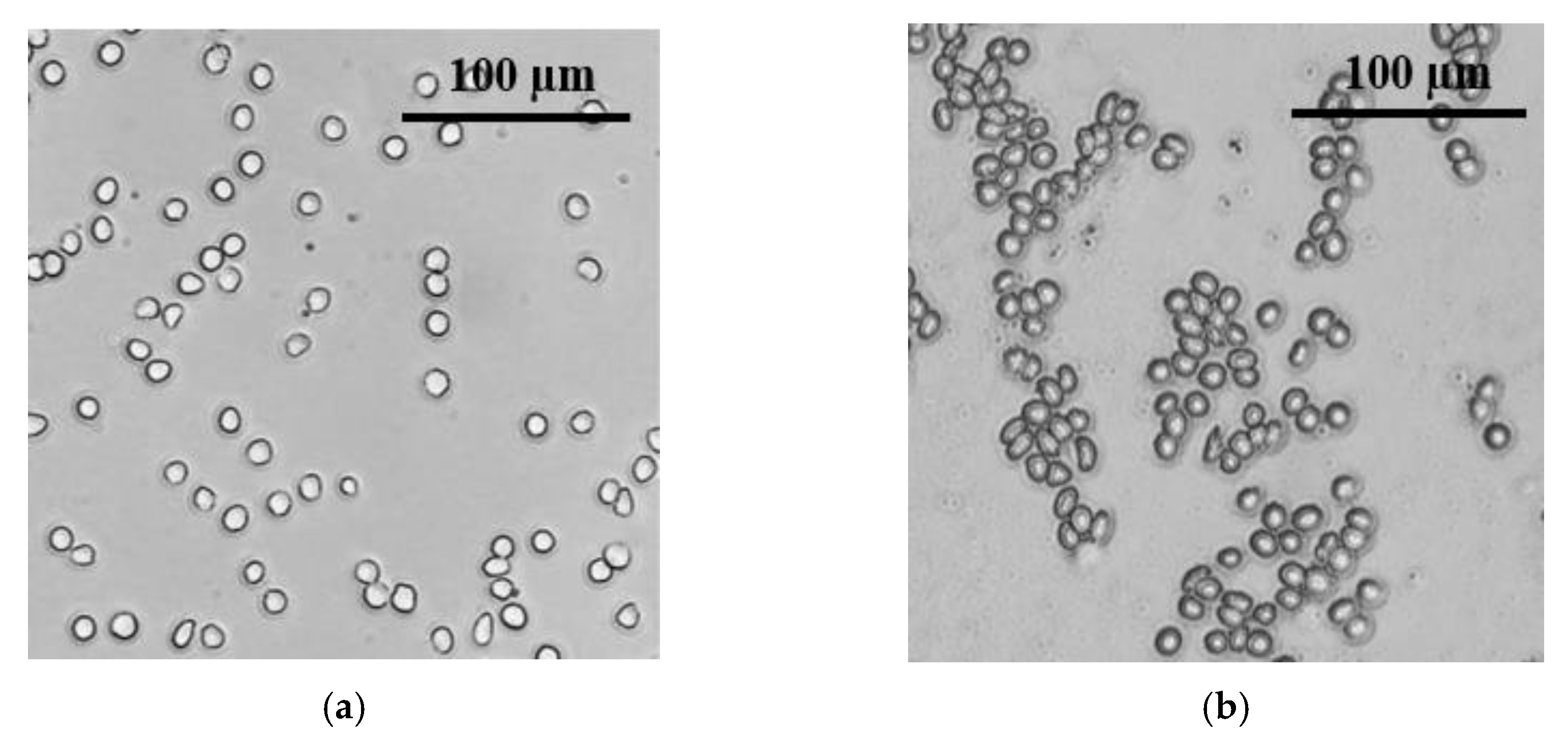 Pharmaceutics 14 01950 g007