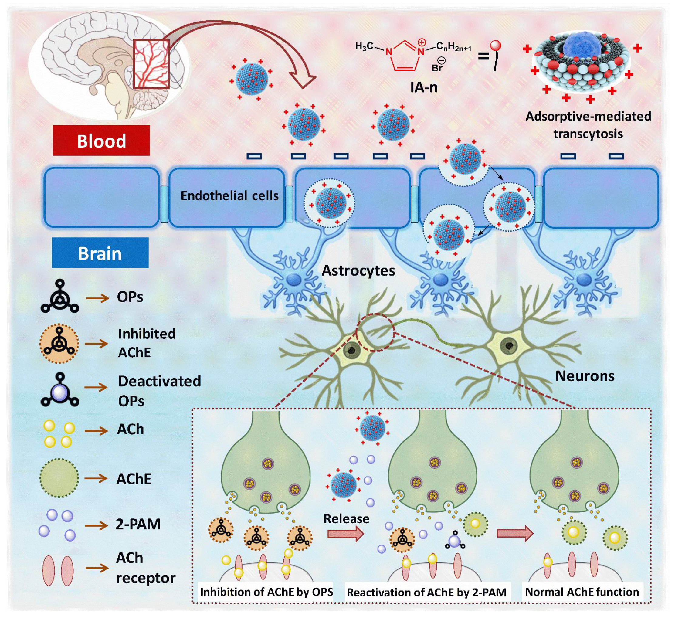 Pharmaceutics 14 01950 sch001